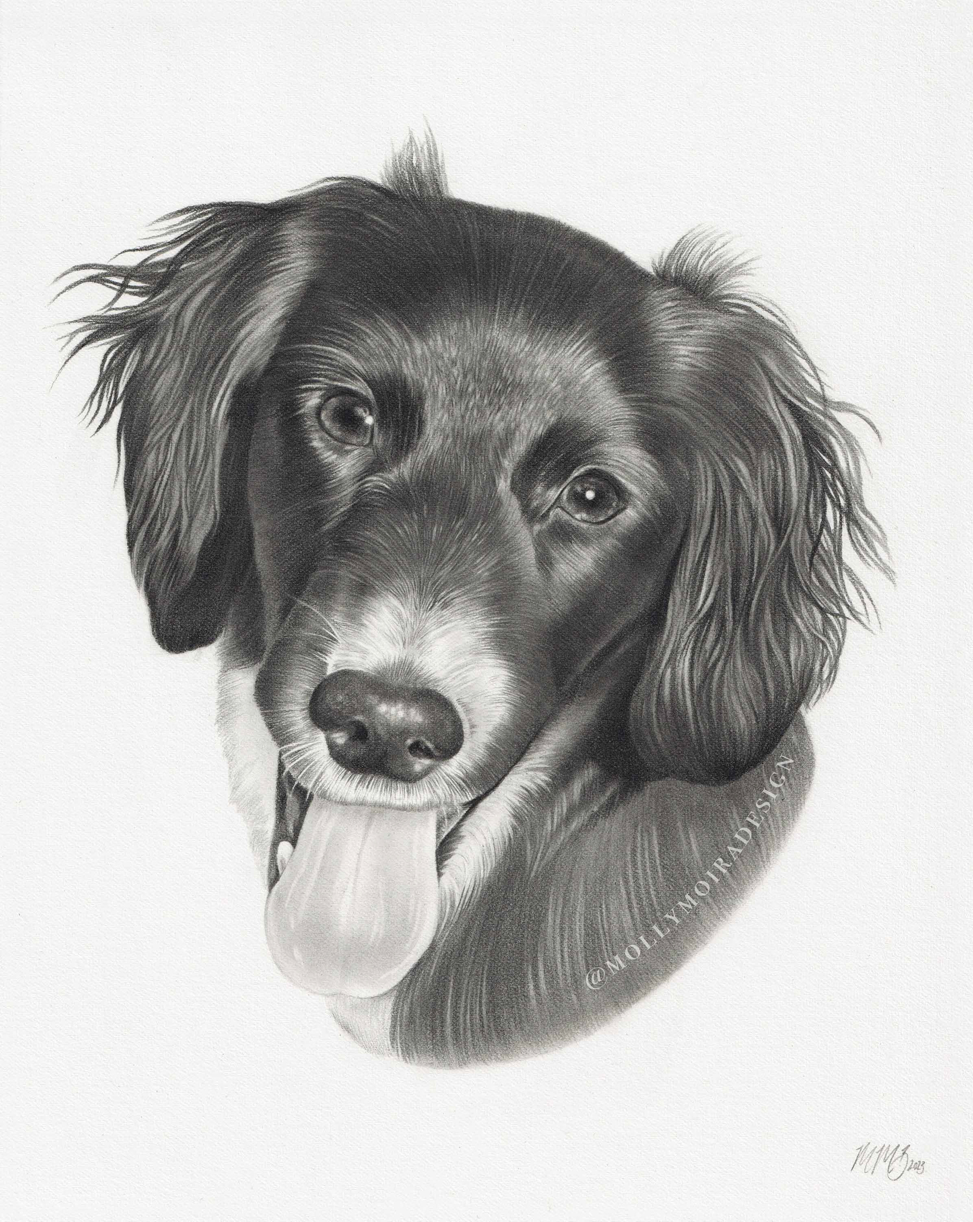 Lottie, Graphite, 8x10"