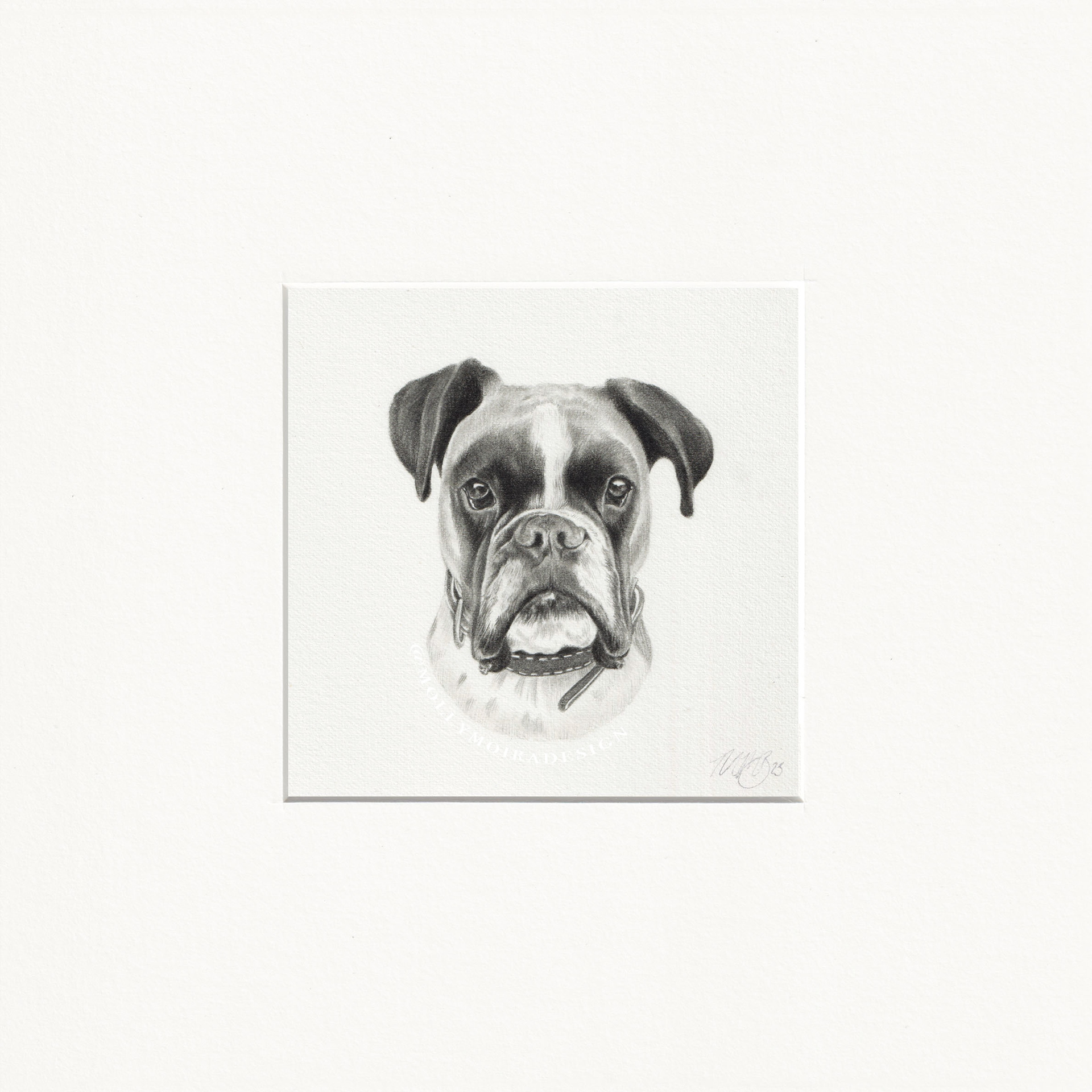 Mini graphite pet portrait of a boxer dog