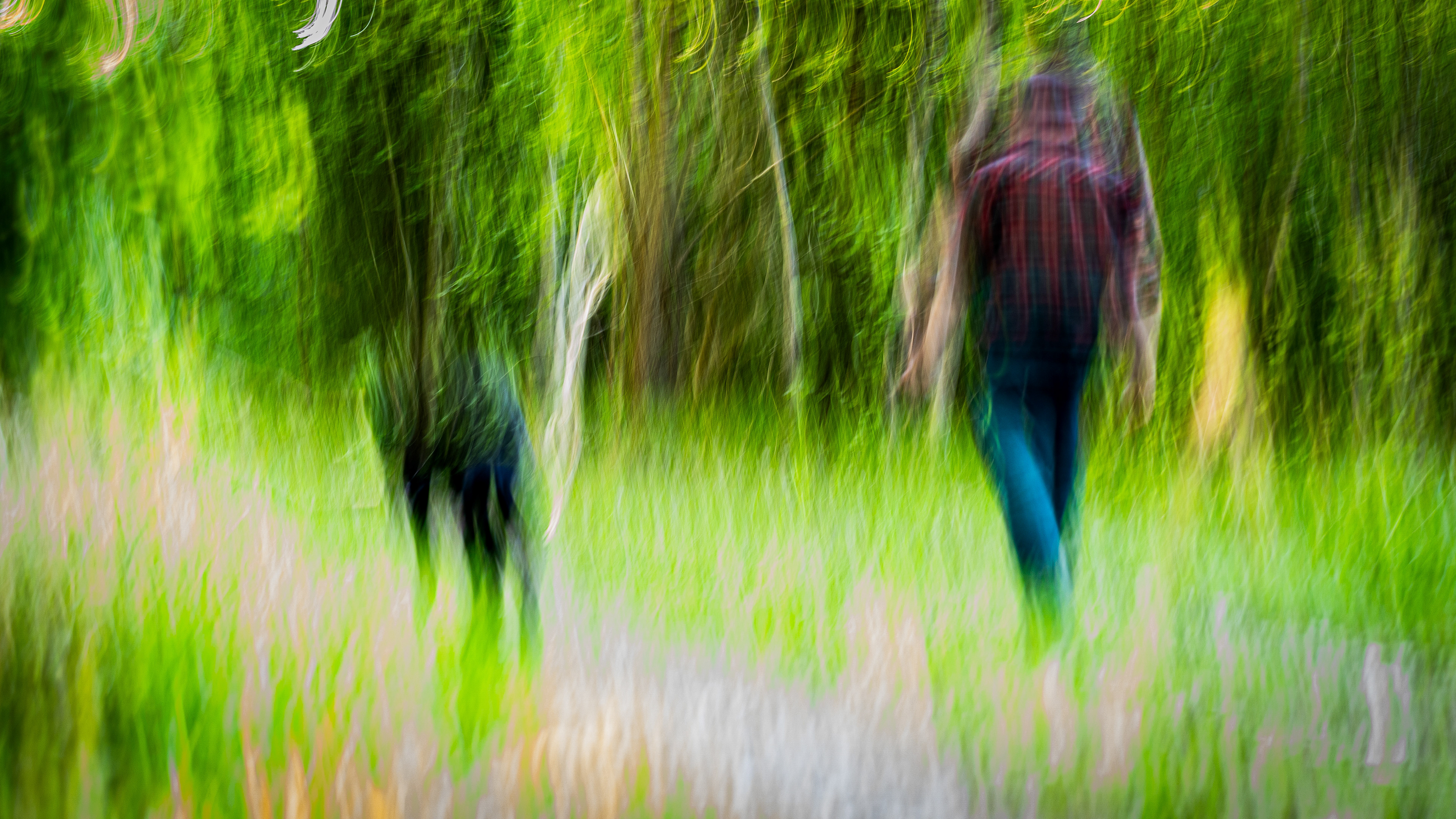 Sedan blev det lite suddigt några timmar, både i kameran och i minnet... 🙄