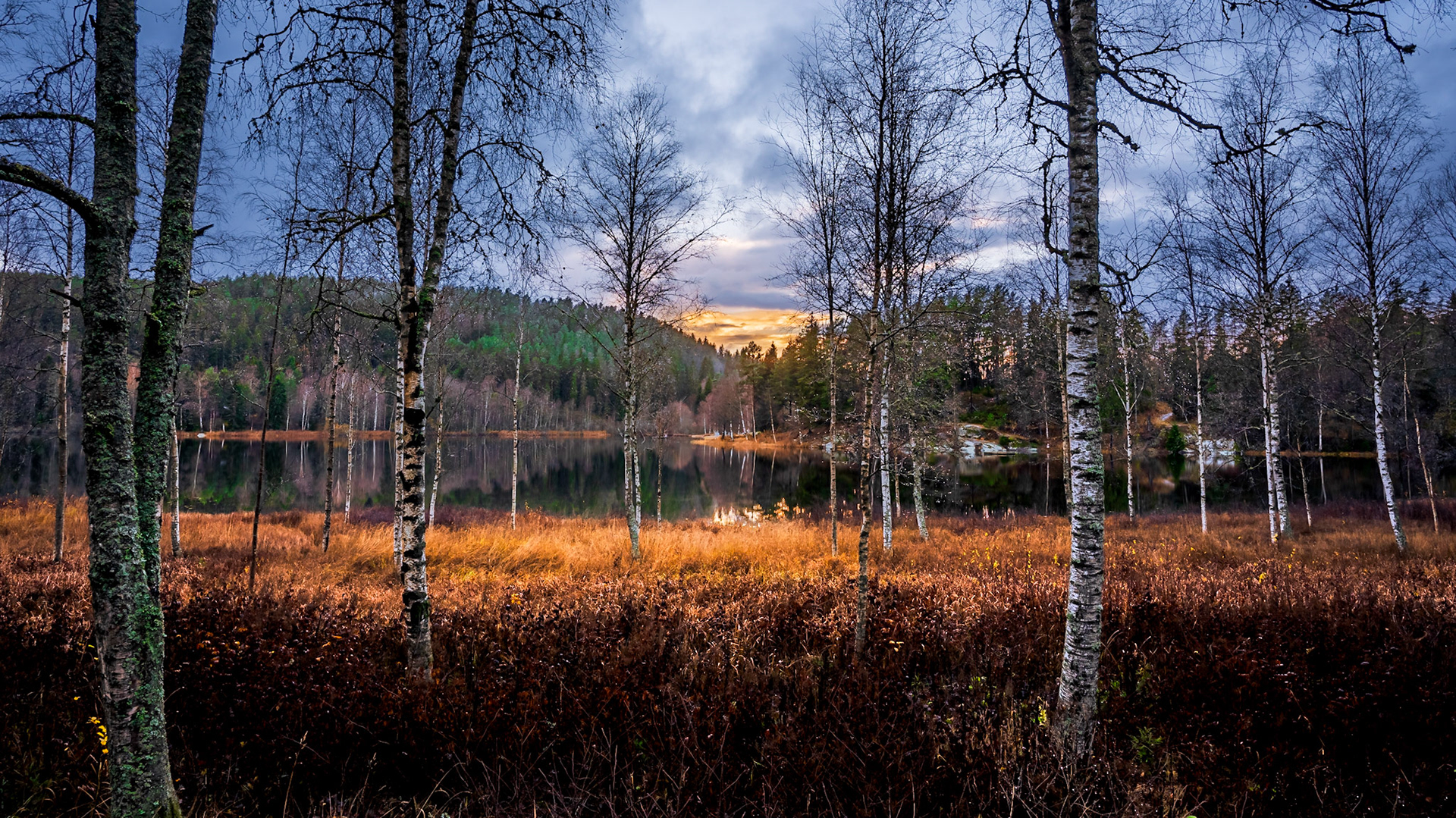 2. November