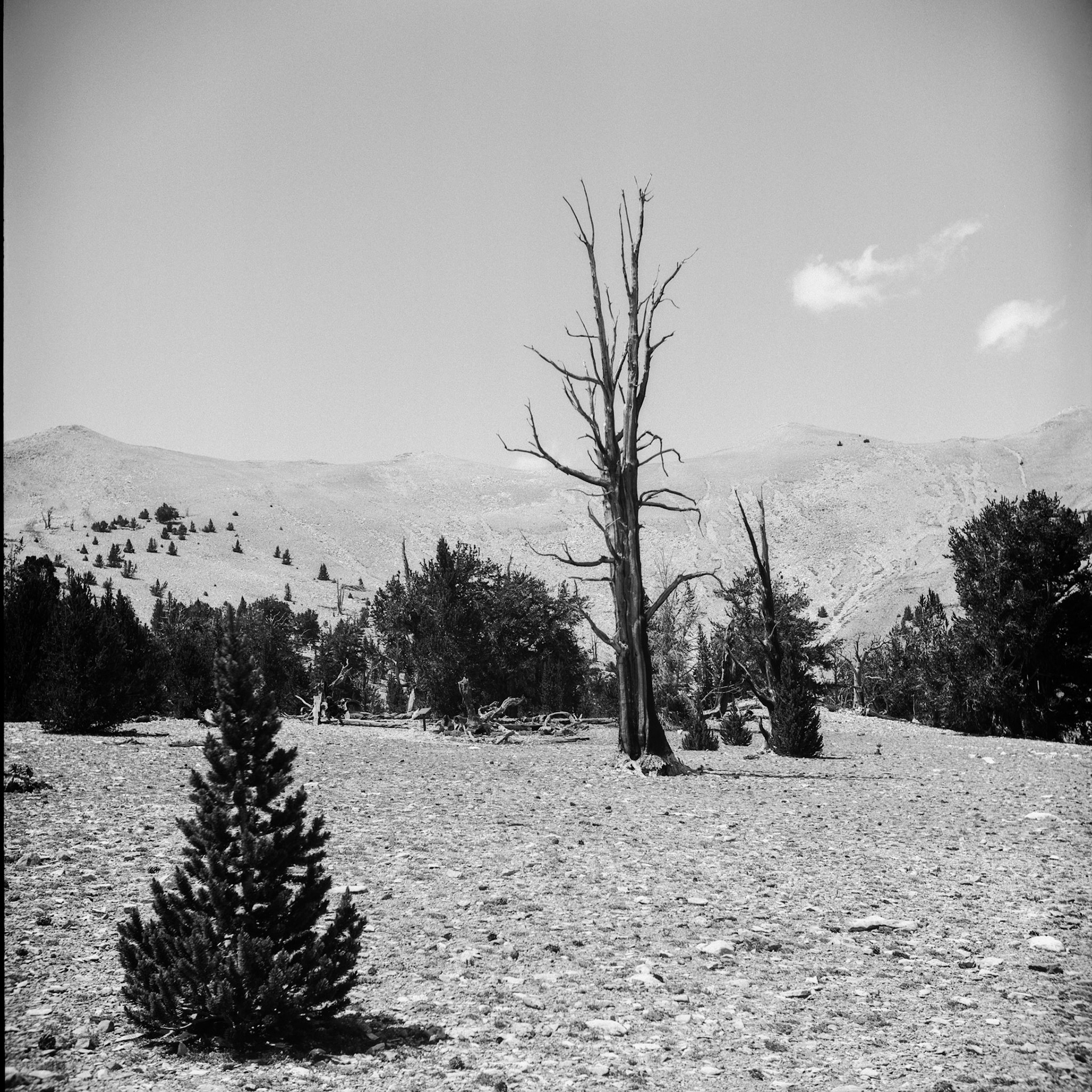 Great Basin IV