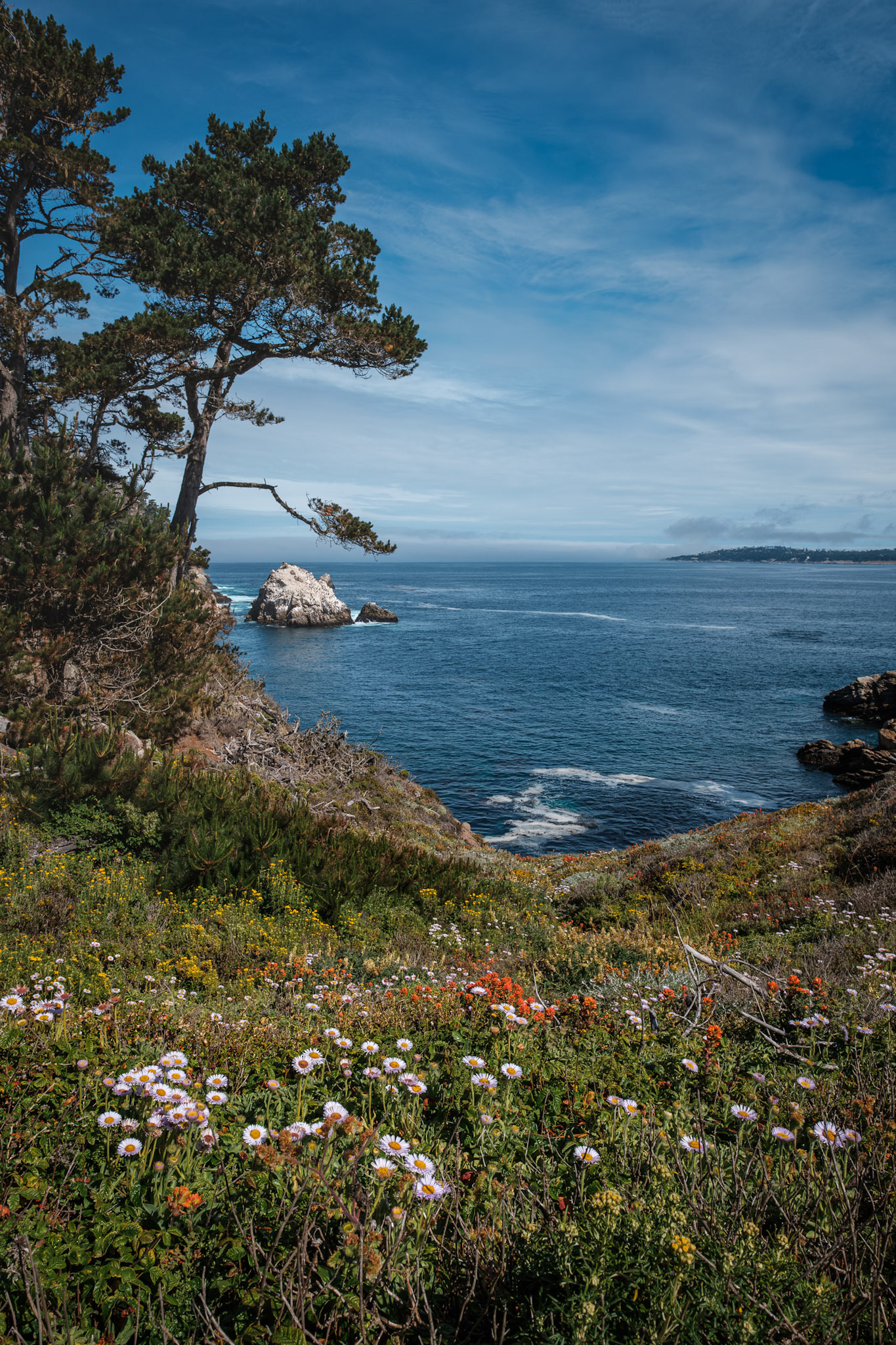 California IV