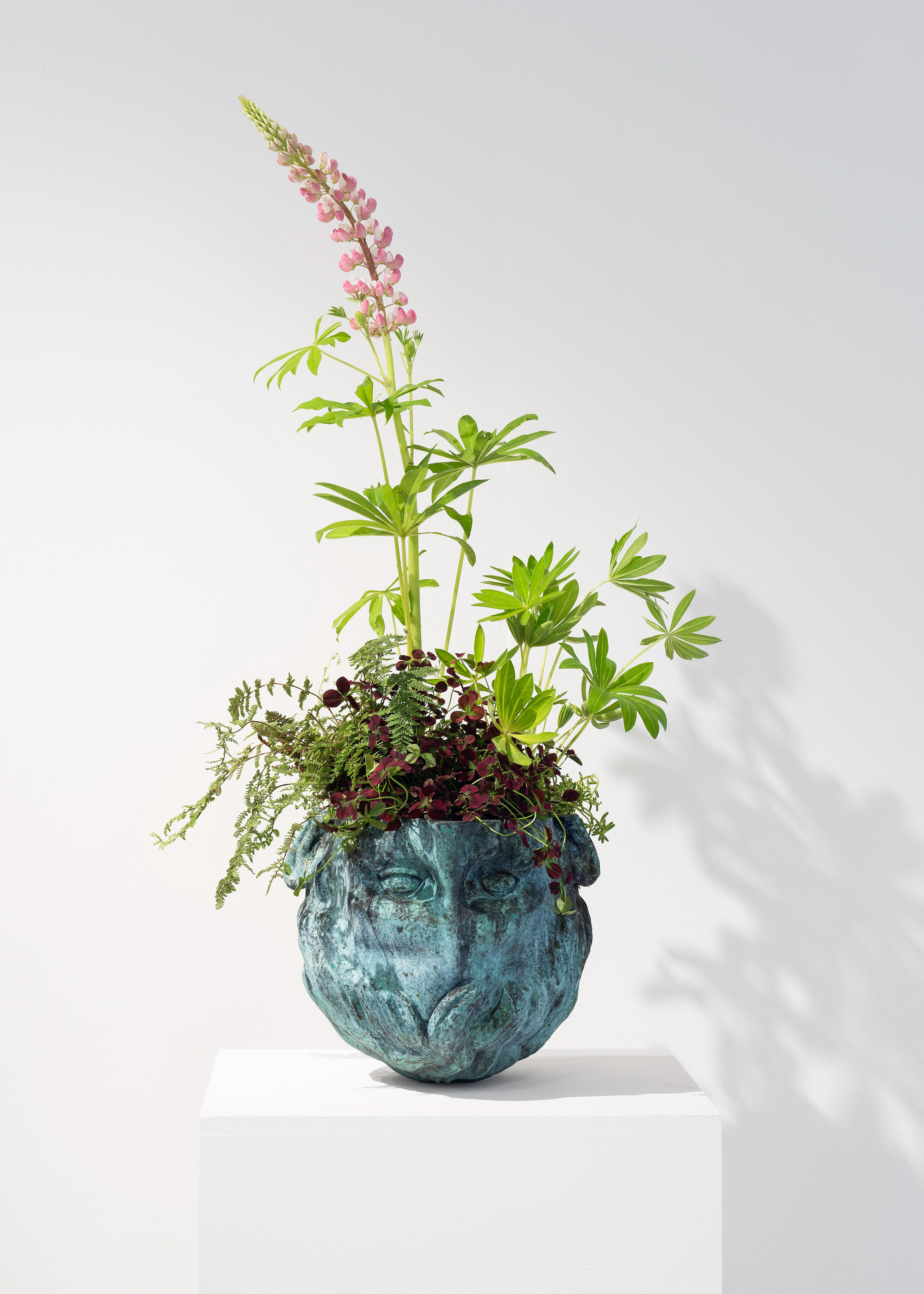 Iván Argote, Wild Flowers, Augustus: A Head, 2024. Courtesy of Albarrán Bourdais.