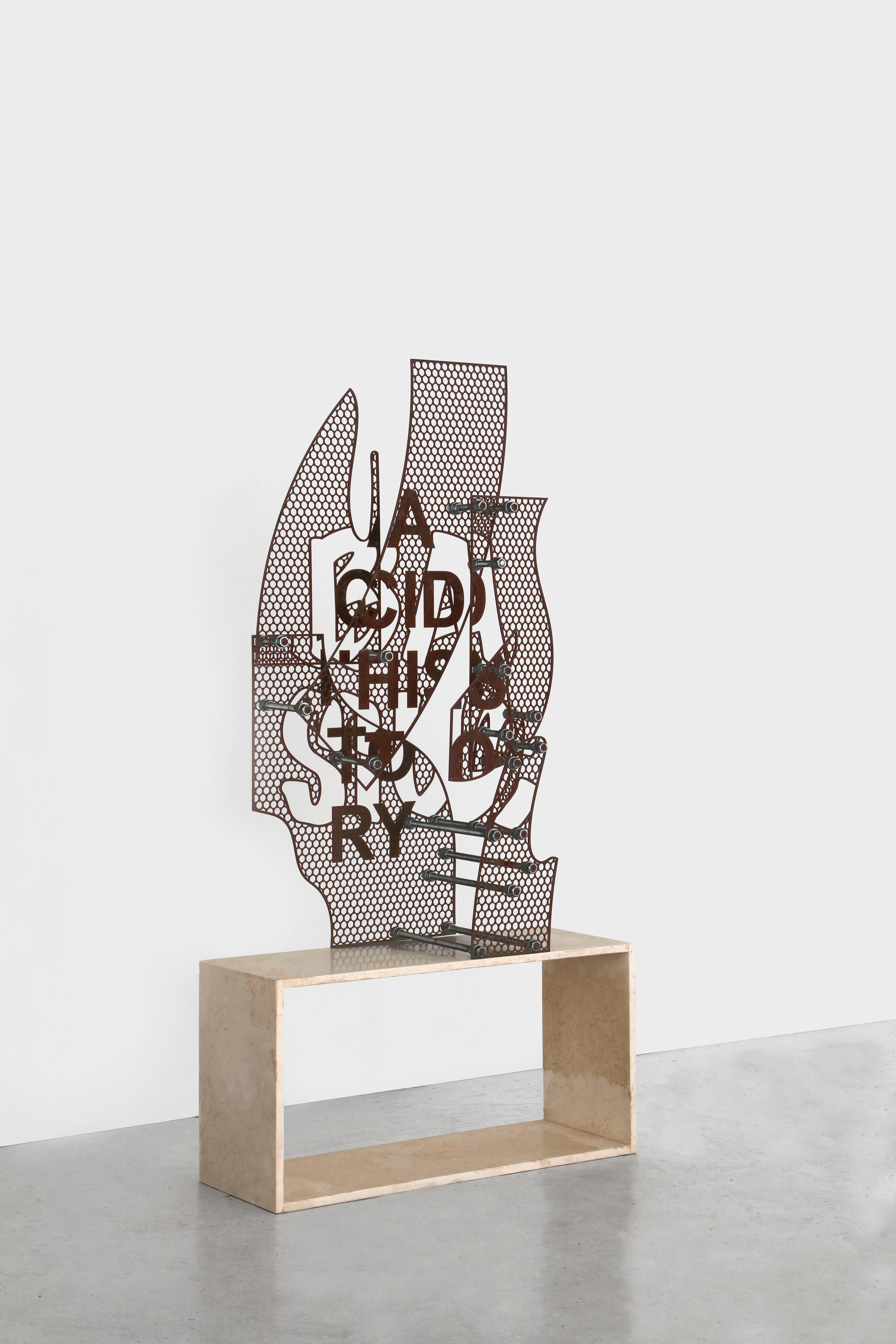 Iván Argote, Basic Acid History, 2017.