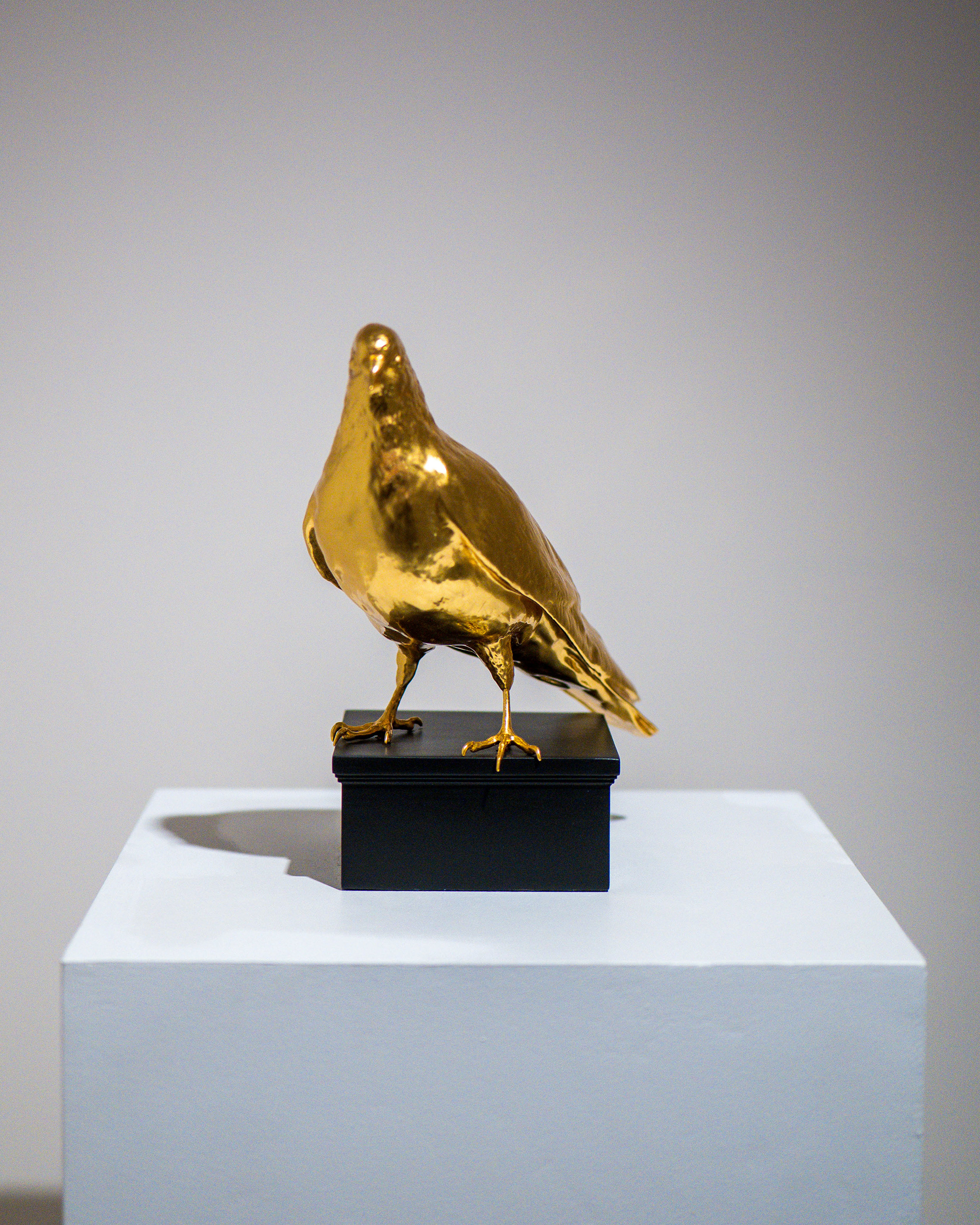 Installation view, Mala Hierba, Galerie de Sèvres, Paris, 2026. Photographer: Milo Perenes