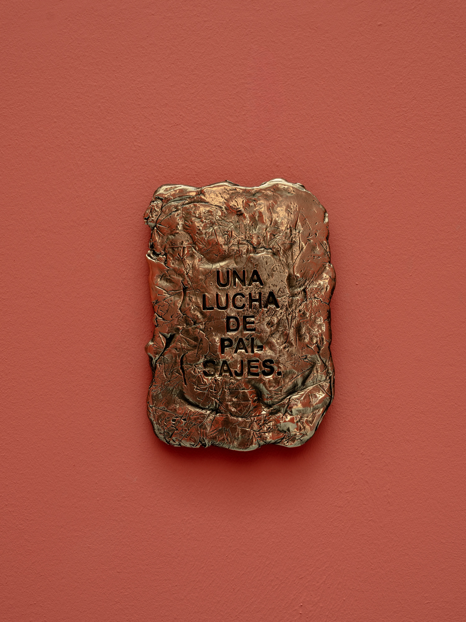 Views from "Una Lucha de Paisajes", Iván Argote, Albarrán Bourdais. November 20th, 2025 - January 10th, 2026. Photographer: Pablo Gómez-Ogando.