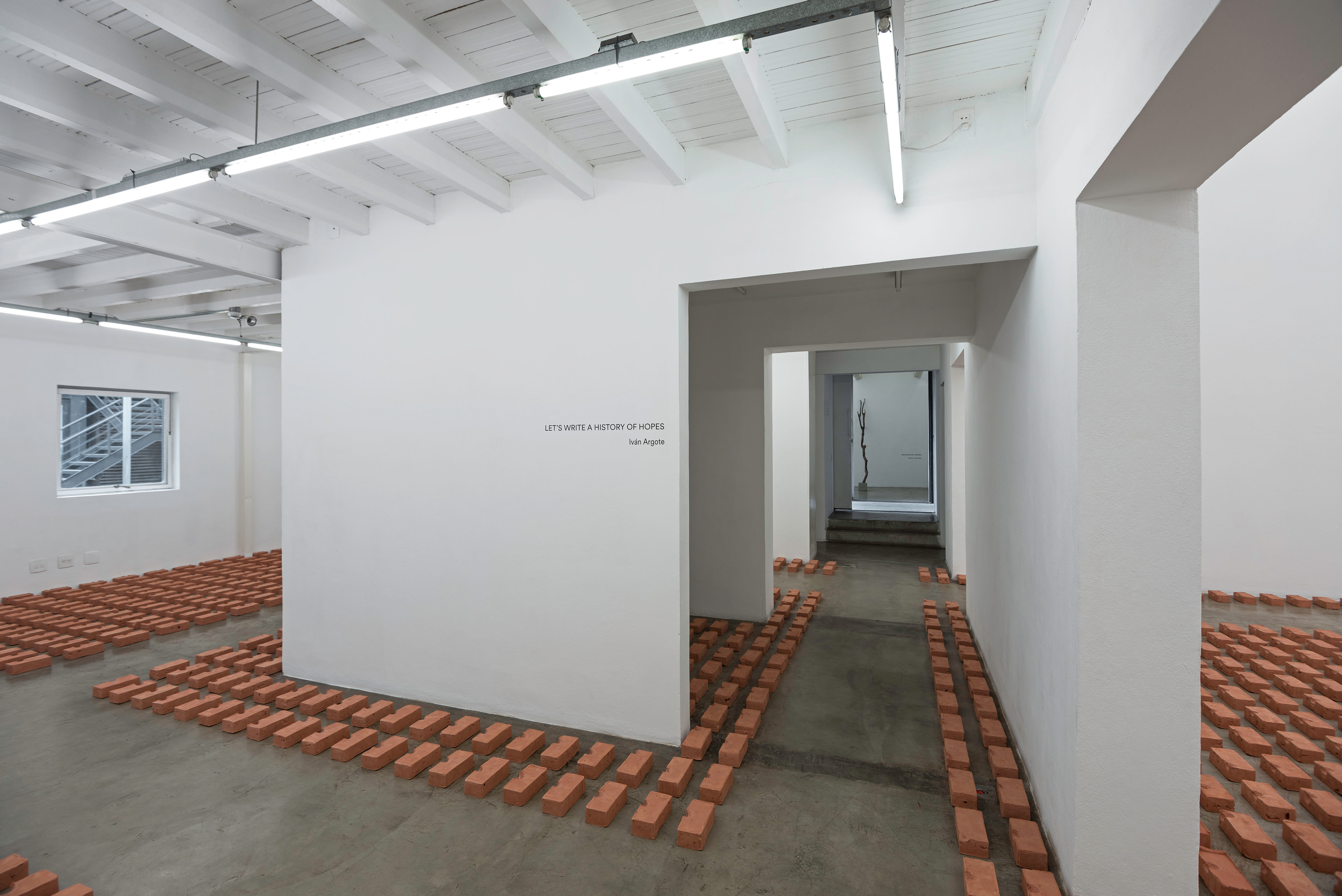 Let's Write a History of Hopes, Galeria Vermelho, São Paulo, Brazil, 2014, © Edouard Fraipont