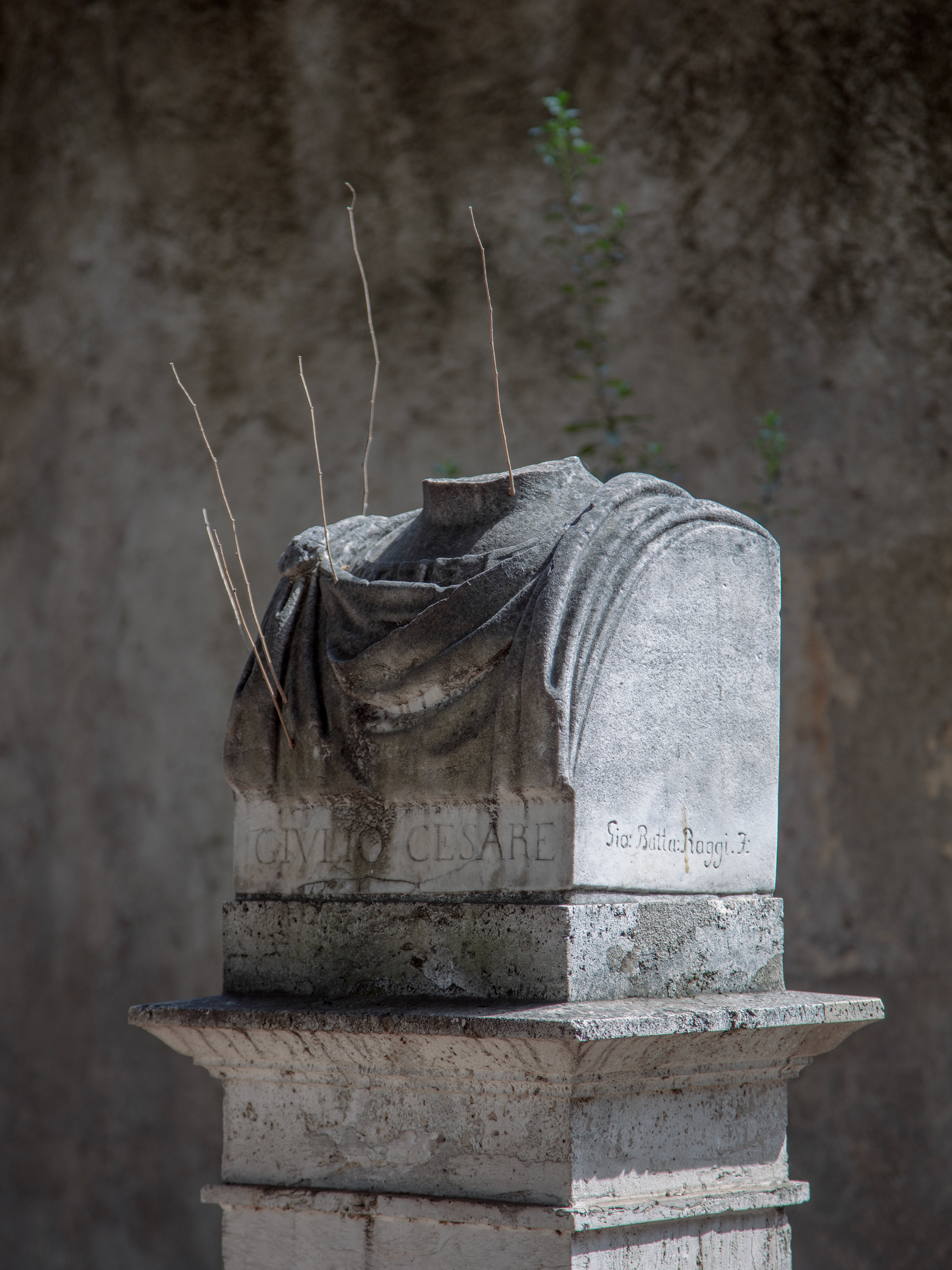 Excroissances (Giulio Cesare, Villa Borghese, Roma), 2022.