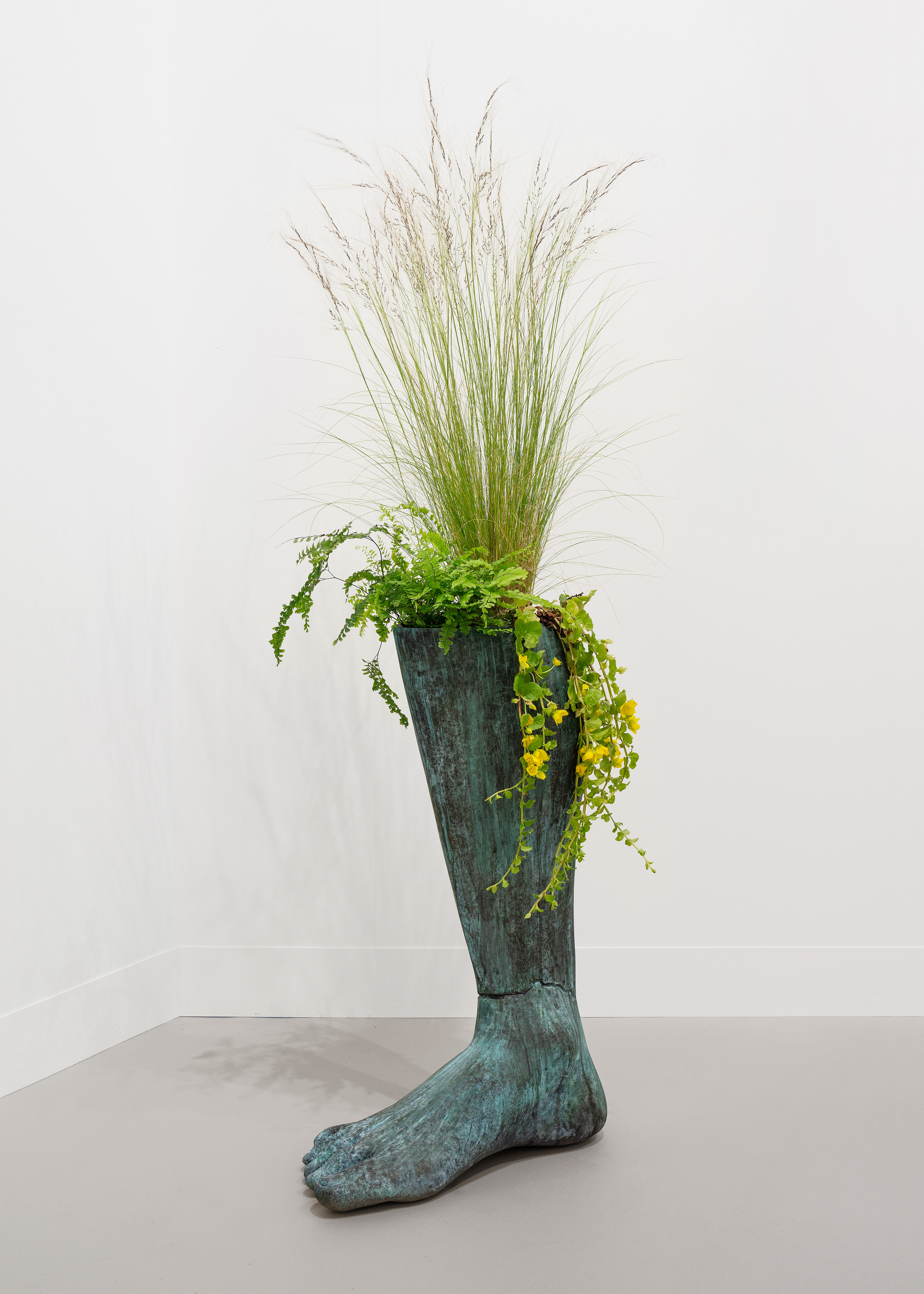 Iván Argote, Wild Flowers, Augustus: Another Foot, 2024. Courtesy of Albarrán Bourdais.