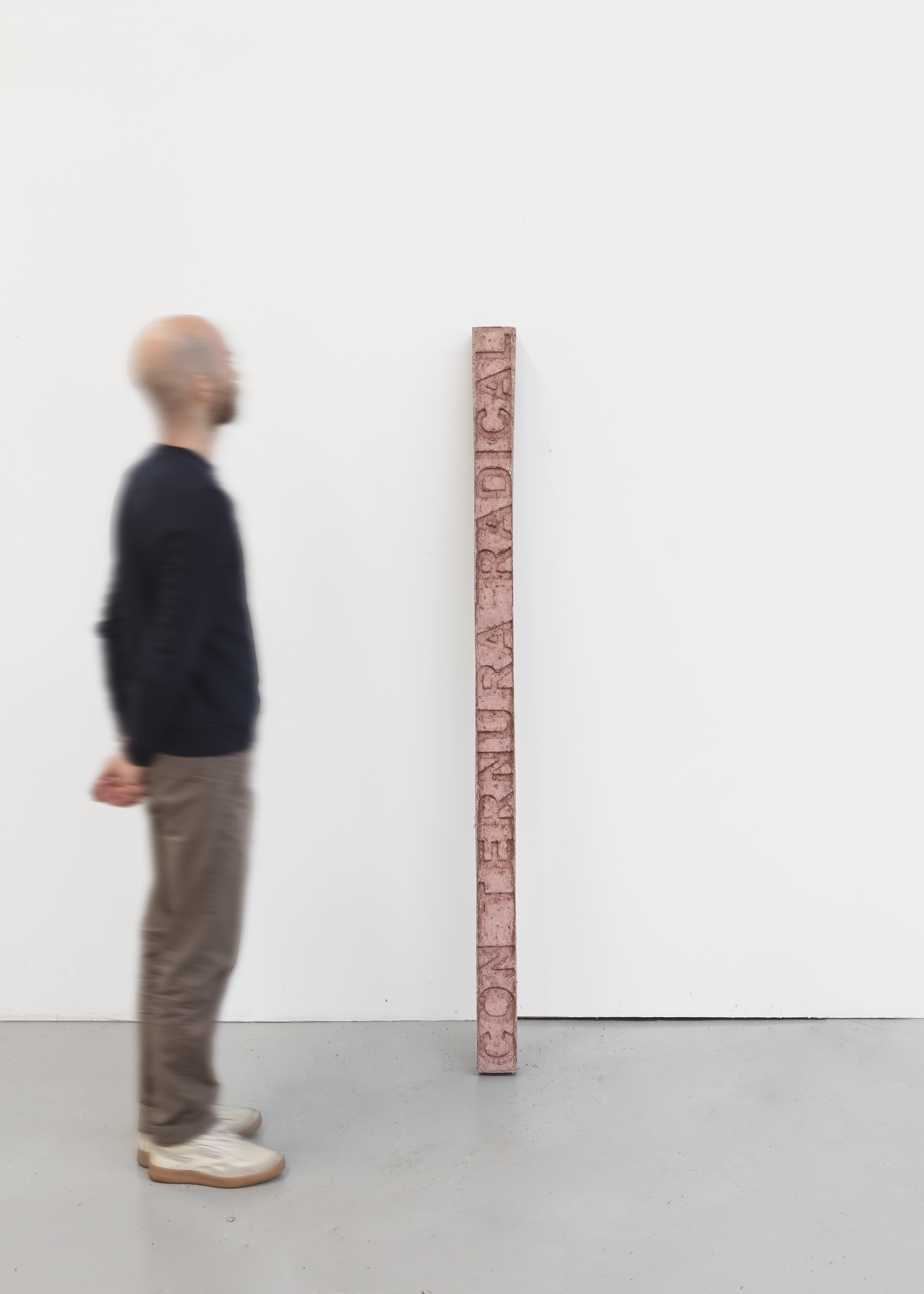 Iván Argote, Con Ternura Radical, 2020.