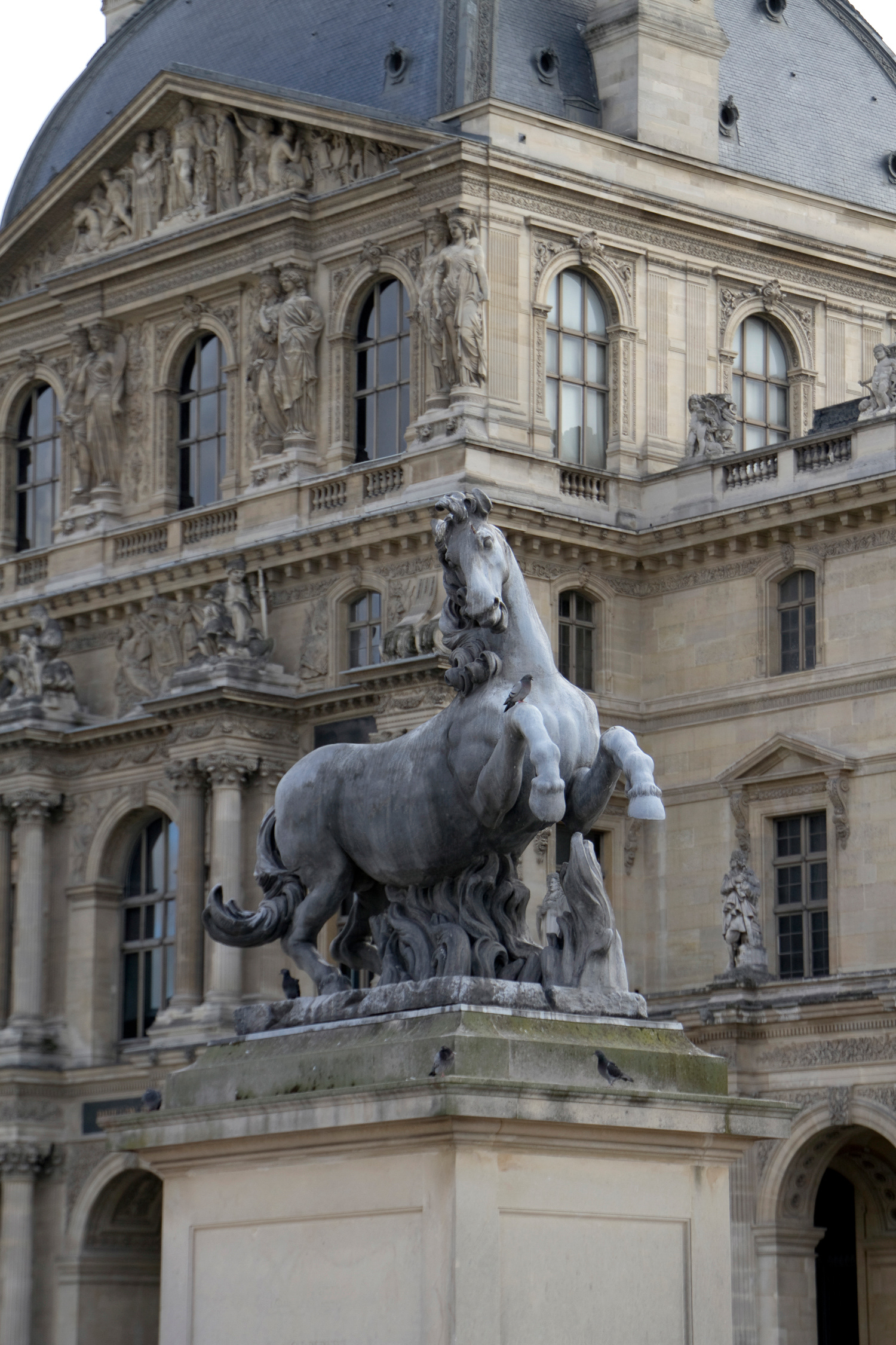 Horse (Louvre, Paris), 2011