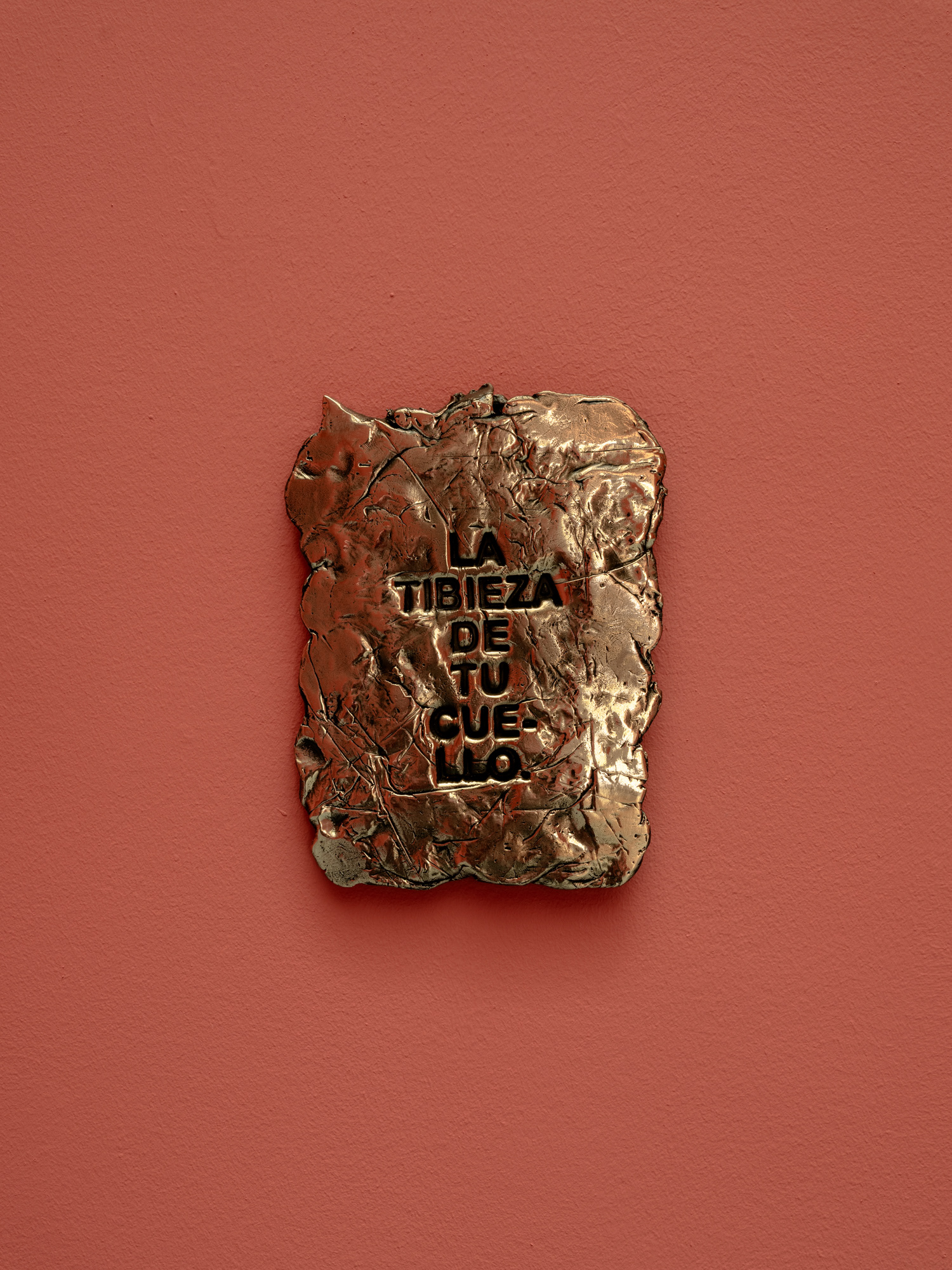 Views from "Una Lucha de Paisajes", Iván Argote, Albarrán Bourdais. November 20th, 2025 - January 10th, 2026. Photographer: Pablo Gómez-Ogando.