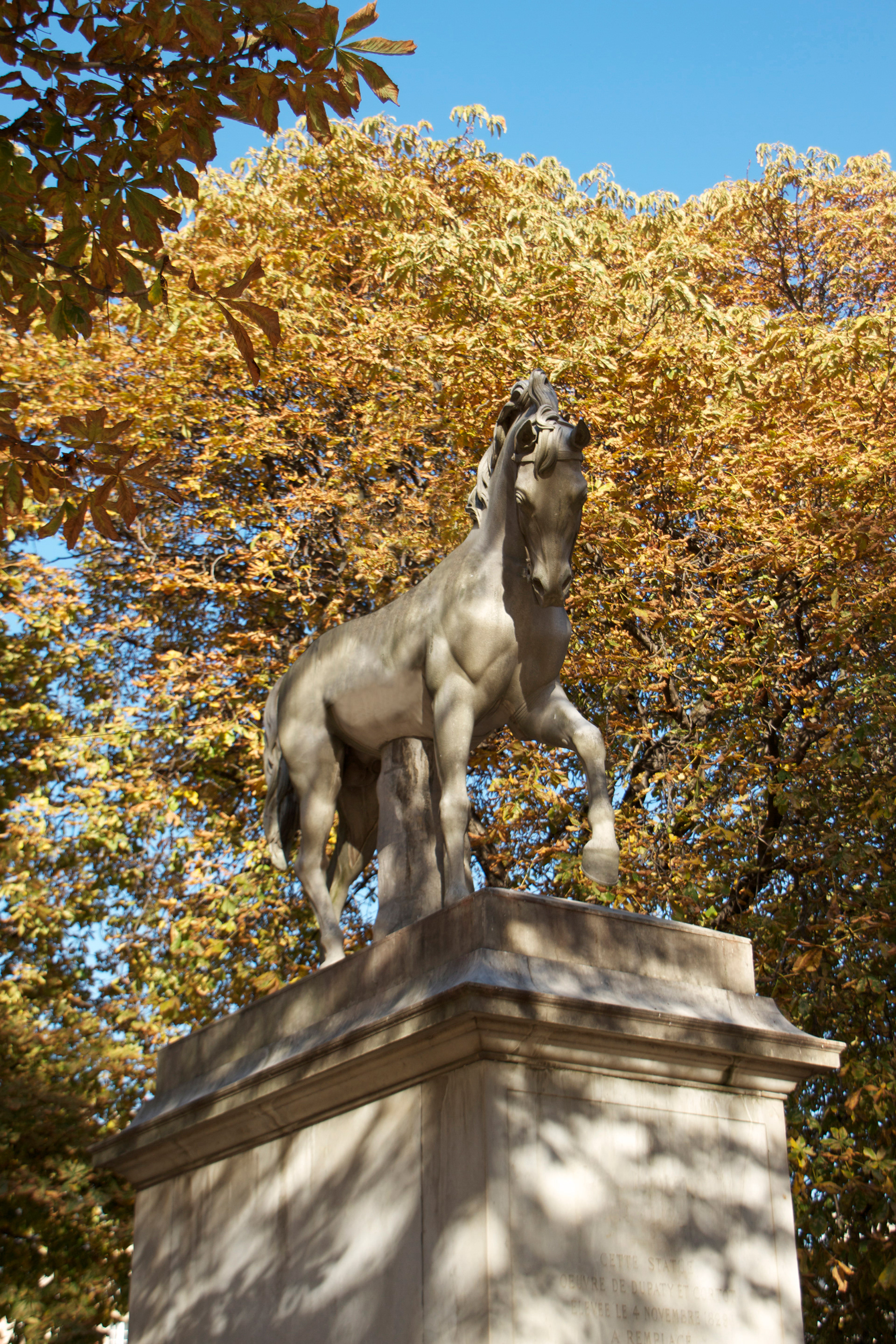 Horse (Place des Vosges, Paris), 2011