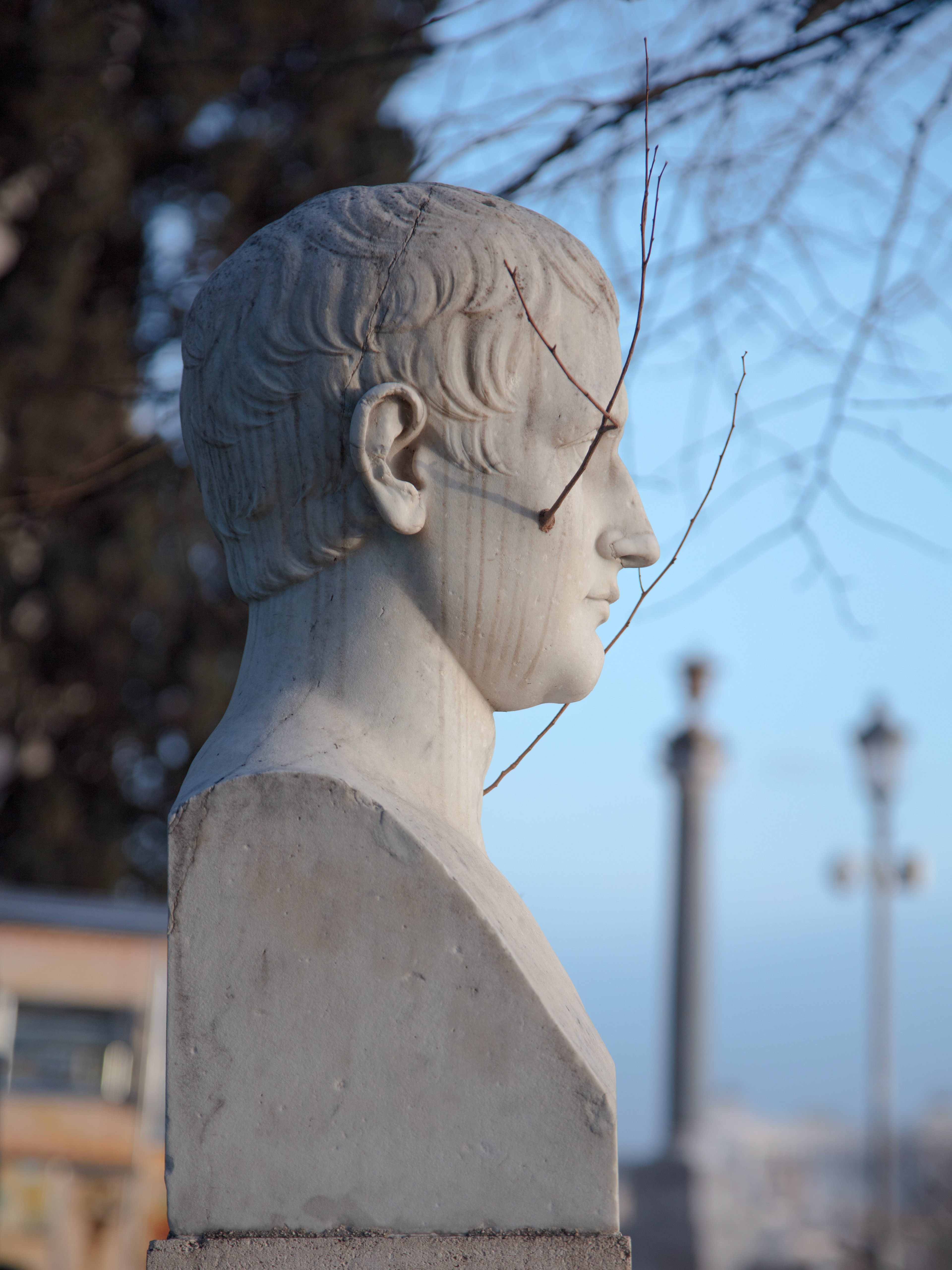 Excroissances (Napoleone, Villa Borghese, Roma), 2022.