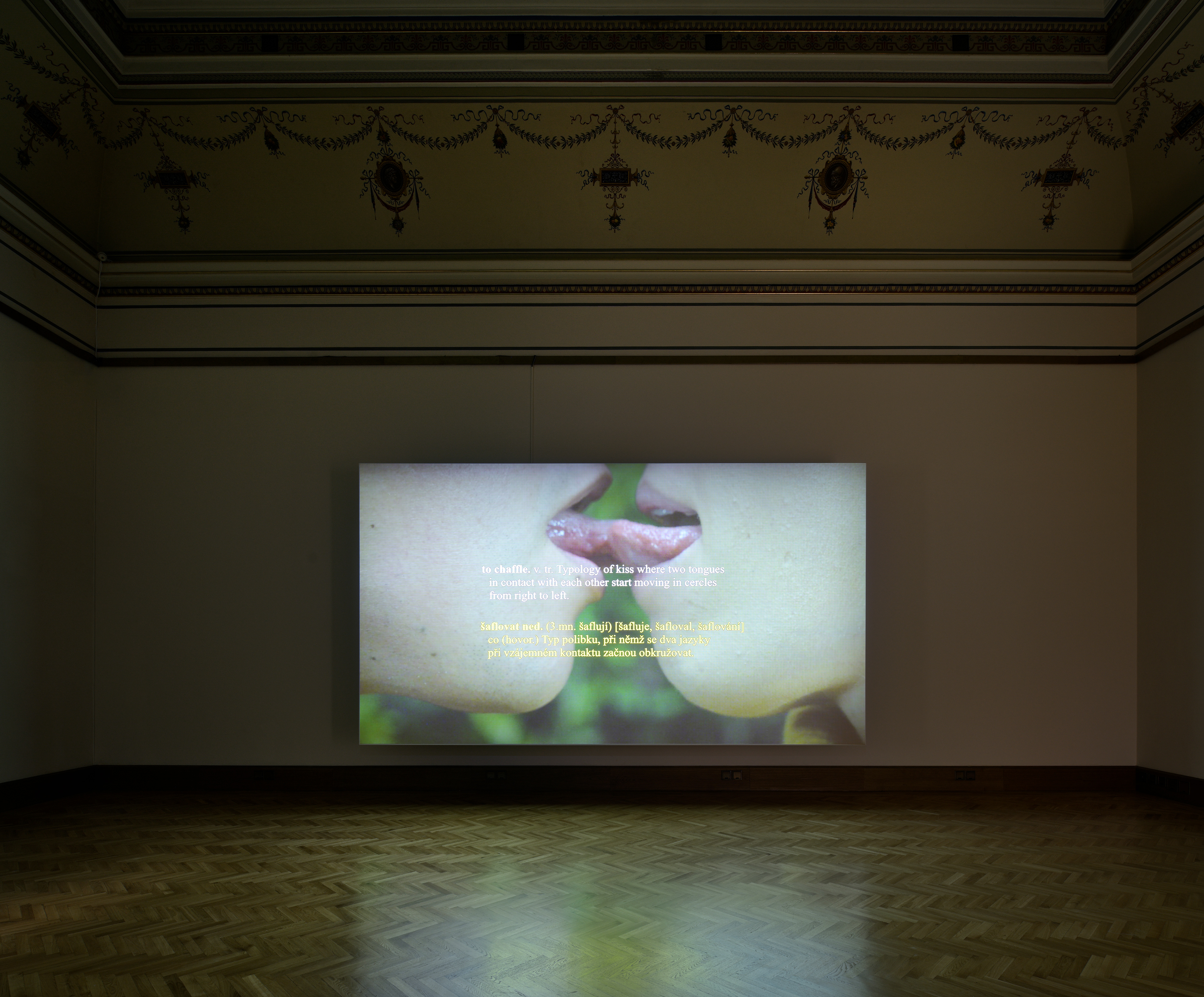 Iván Argote, Radical Tenderness, Galerie Rudolfinum. On view June - September 2025. Photo by Ondřej Polák. Courtesy of Galerie Rudolfinum.