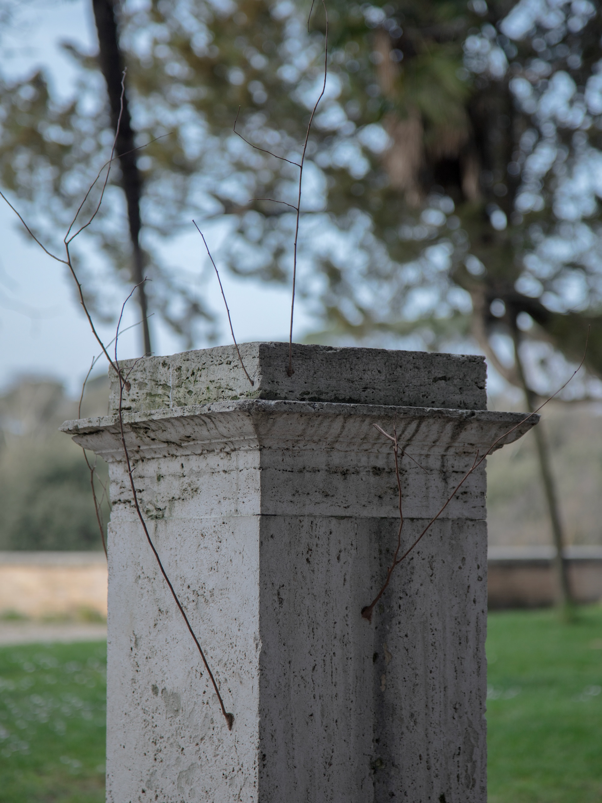 Iván Argote, Excroissances (Plinth, Villa Borghese, Roma), 2022.