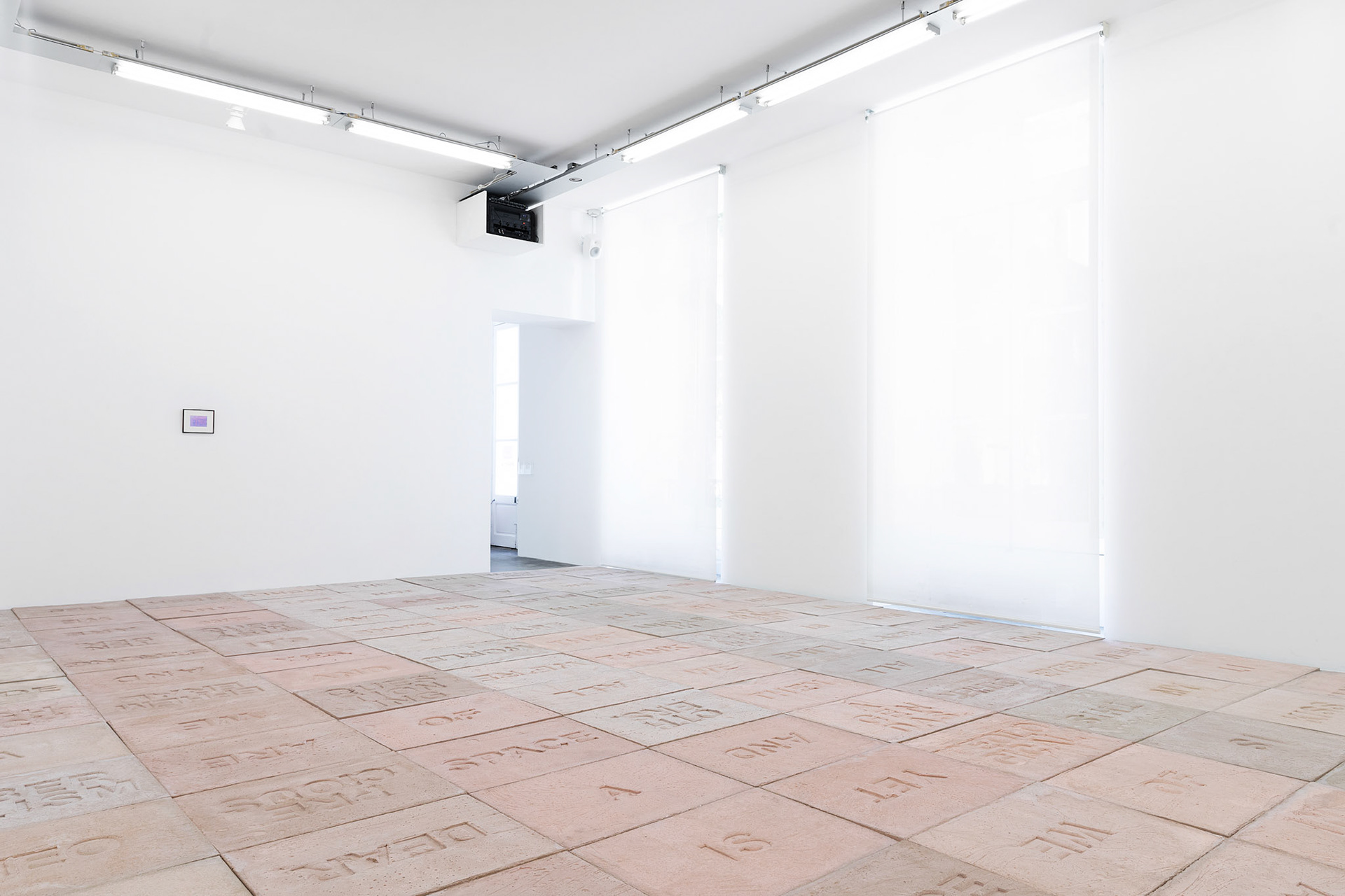 fine art documentation for Perrotinphotographed and edited by Claire Dorn