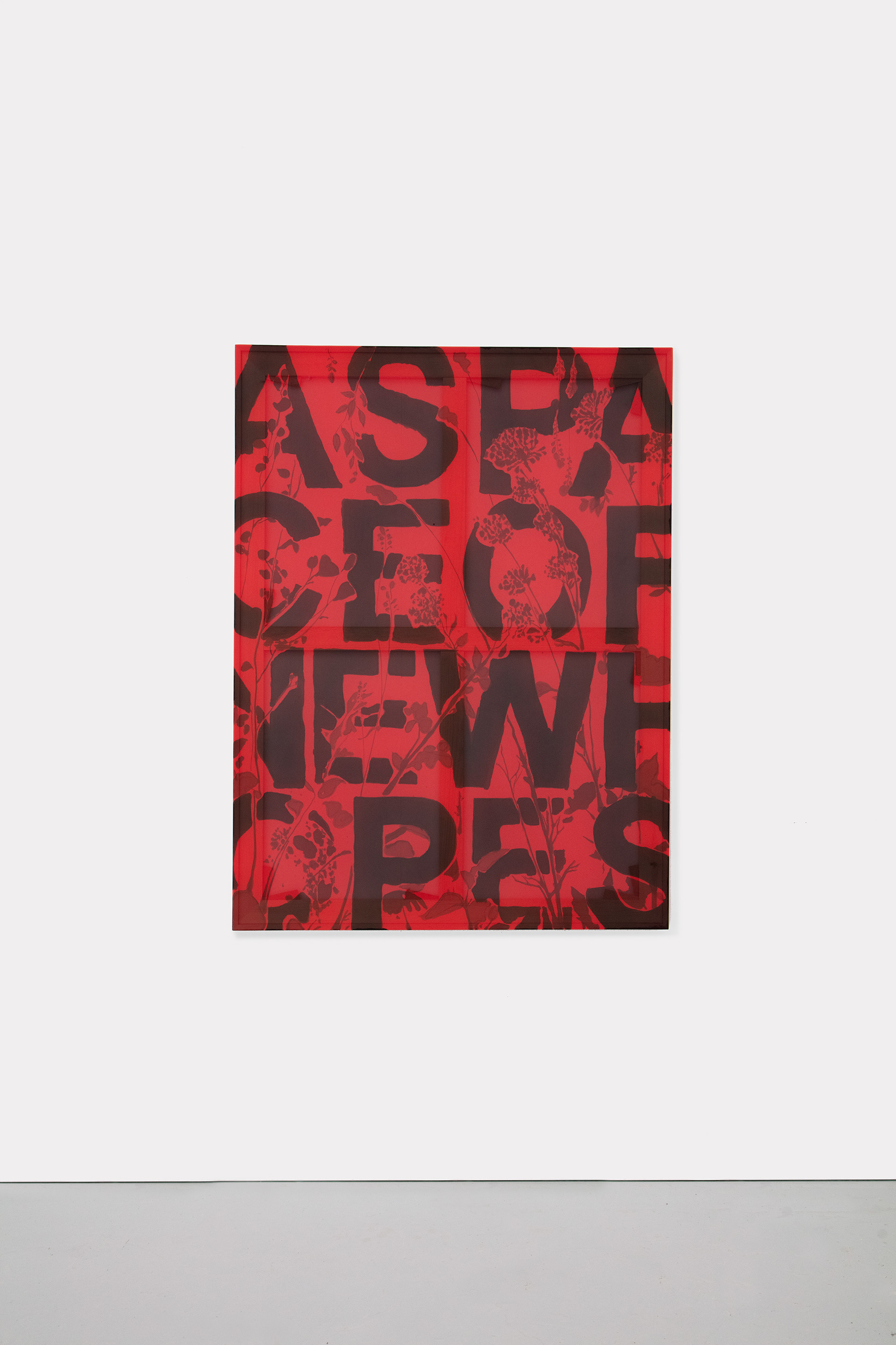 Iván Argote, A Space of New Hopes, 2025.