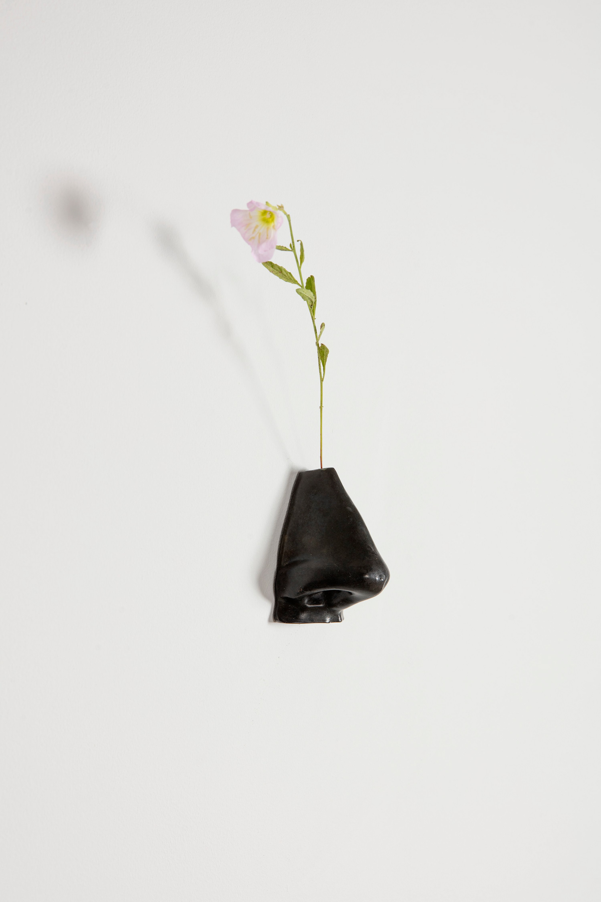 Iván Argote, Wild Flowers: A Nose, 2021. Courtesy of Perrotin, photography by Guillaume Ziccarelli.