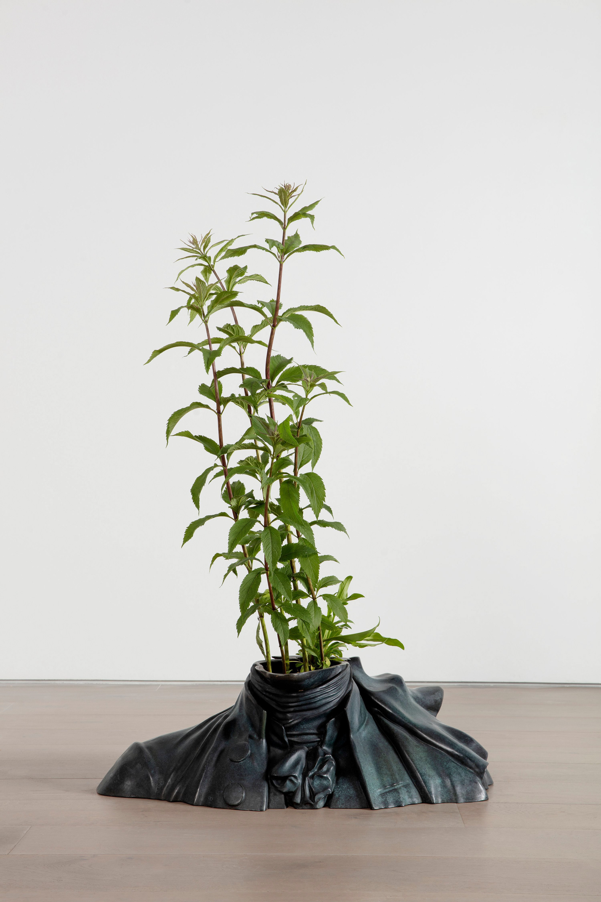 Iván Argote, Wild Flowers: A Neck, 2021. Courtesy of Perrotin, photography by Guillaume Ziccarelli.