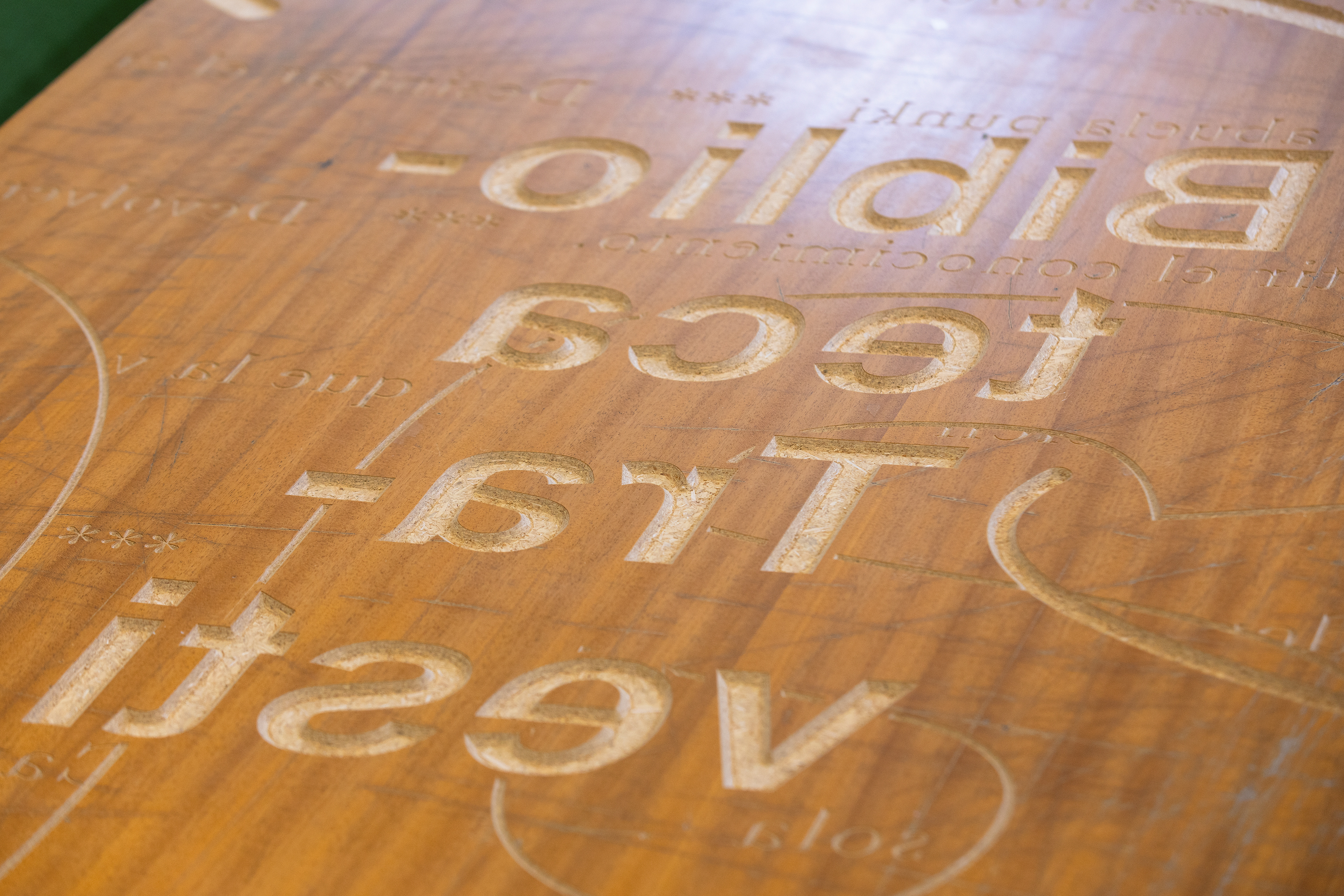 Courtesy of Concomitentes. Photographer: Lukasz Michalak.