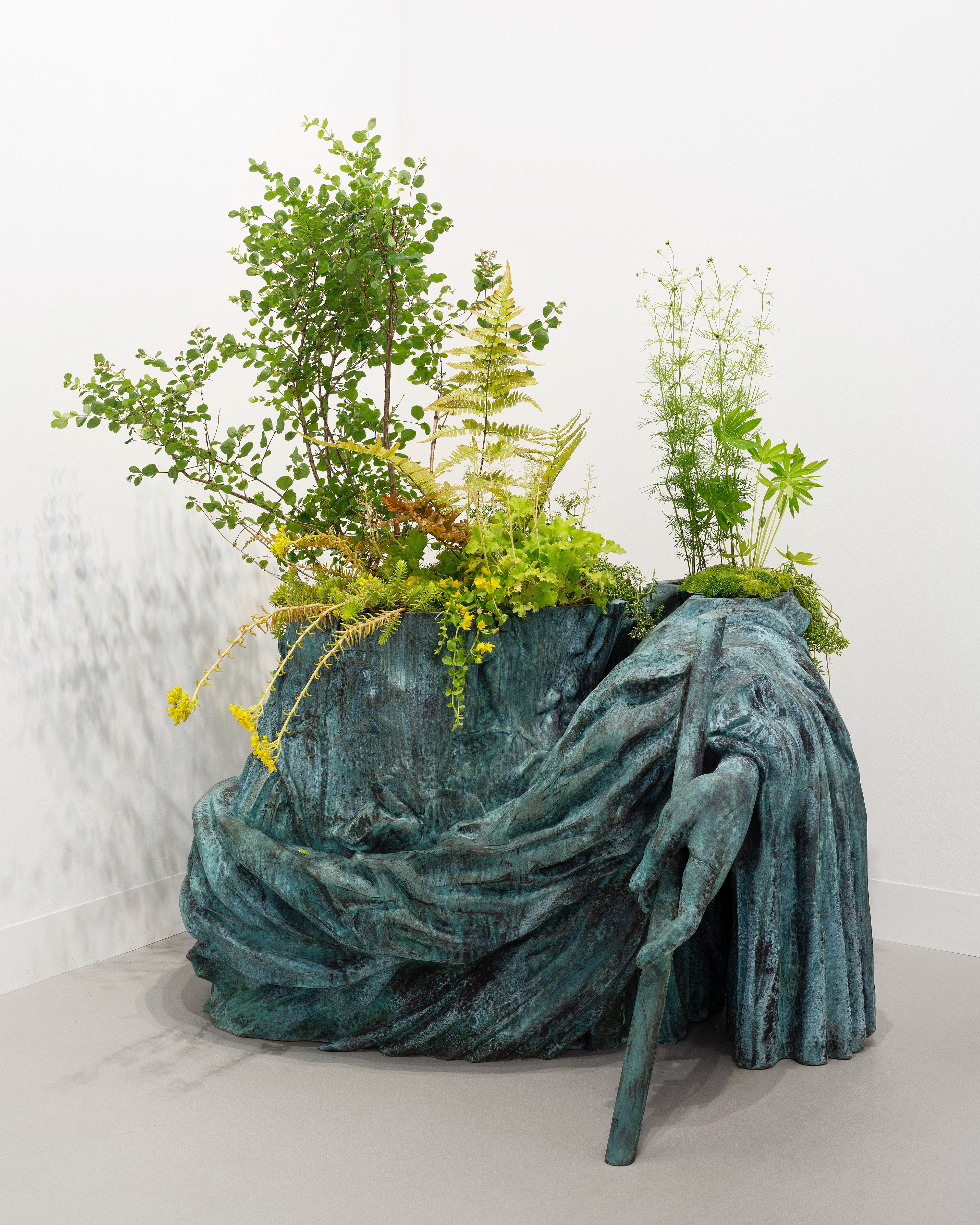 Iván Argote, Wild Flowers, Augustus: A Hip, 2024. Courtesy of Albarrán Bourdais.