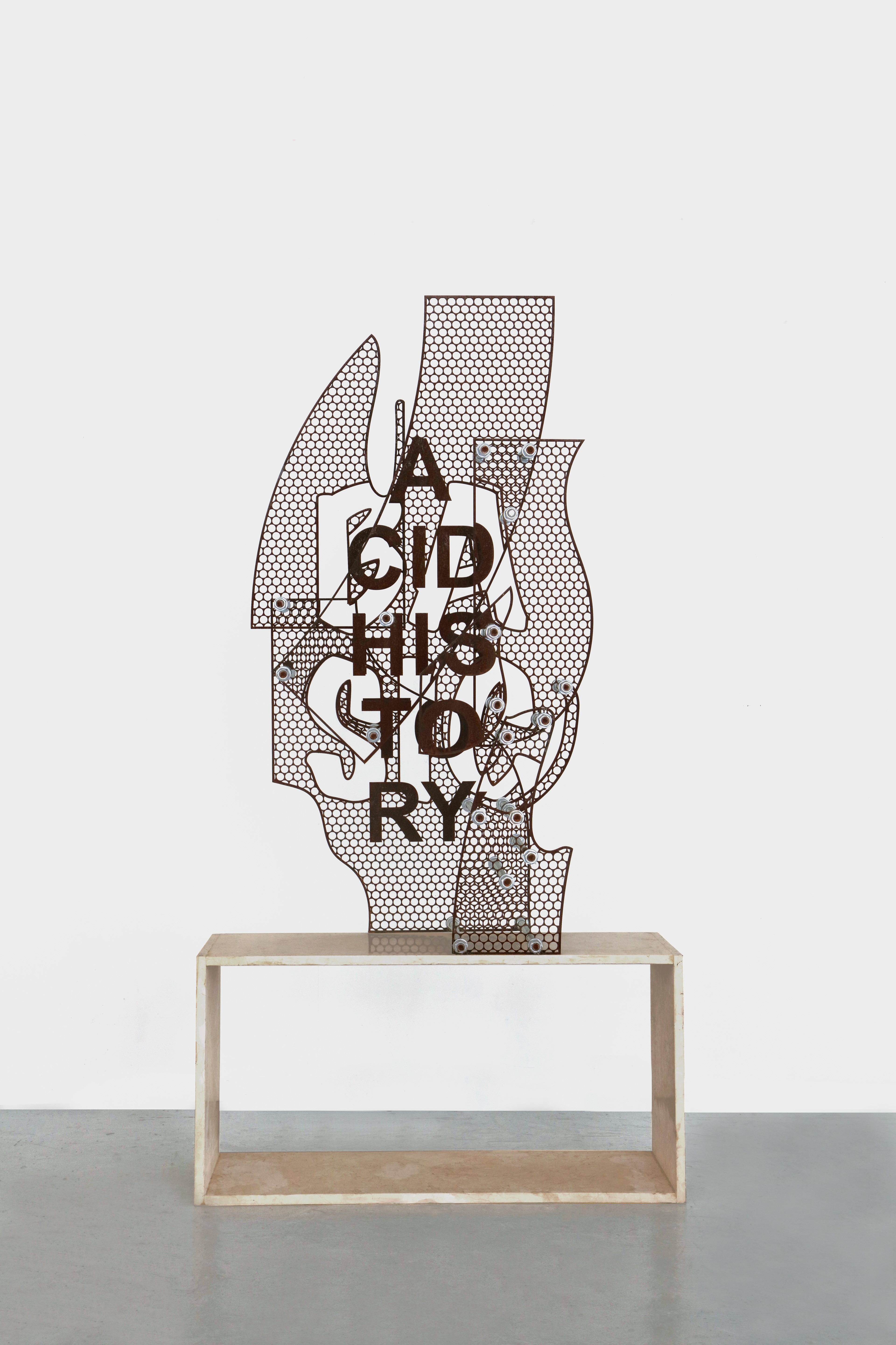 Iván Argote, Basic Acid History, 2017.