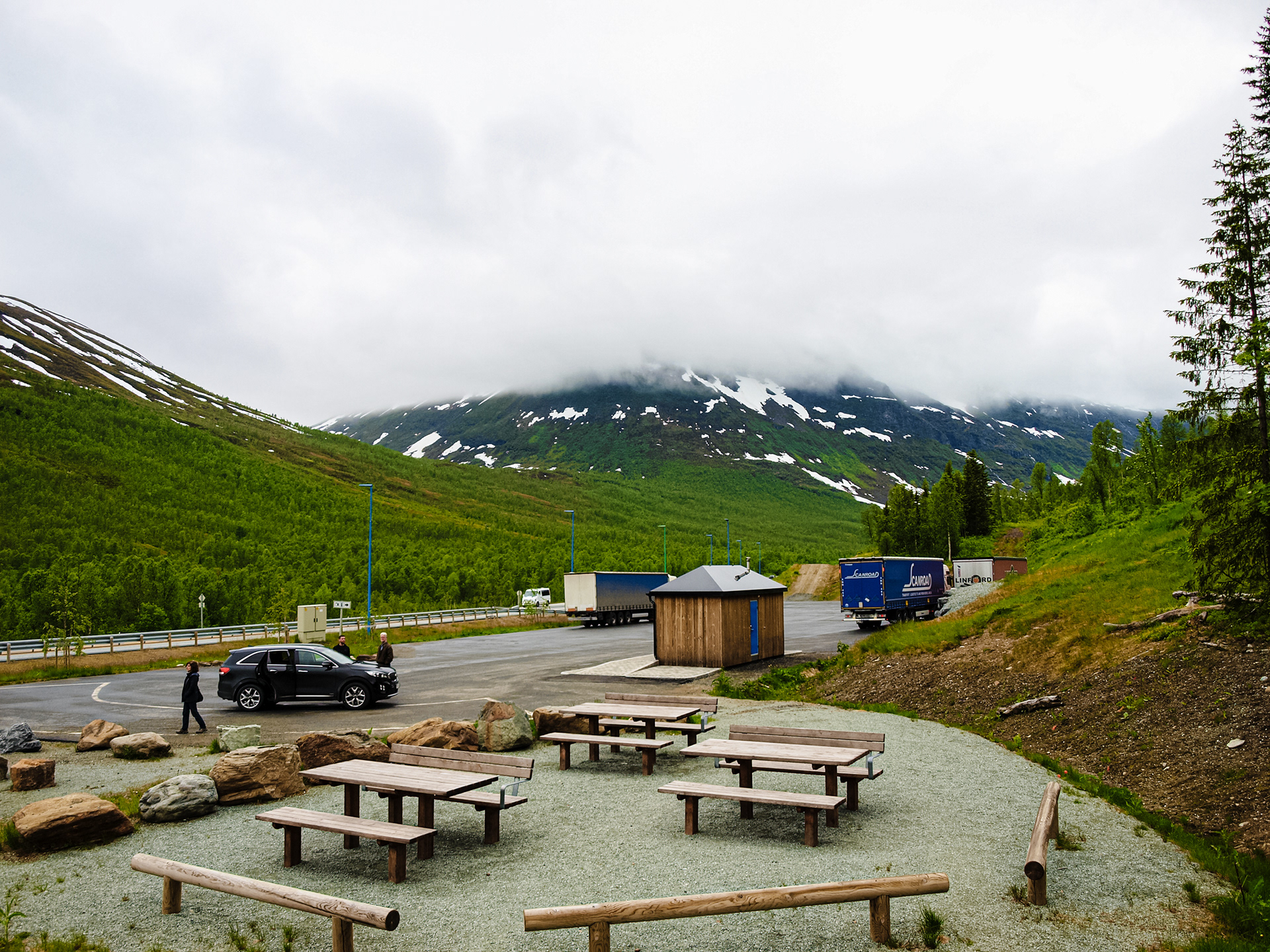 The road to Tromso showing surprisingly lush foliage