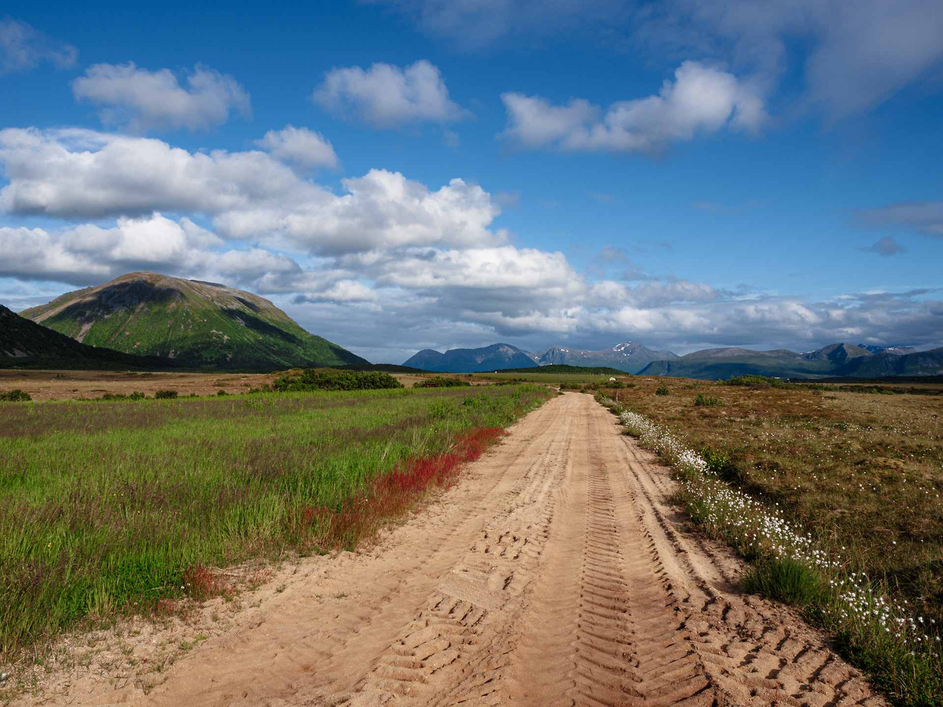A dirt road branches off the winding Lofoten road