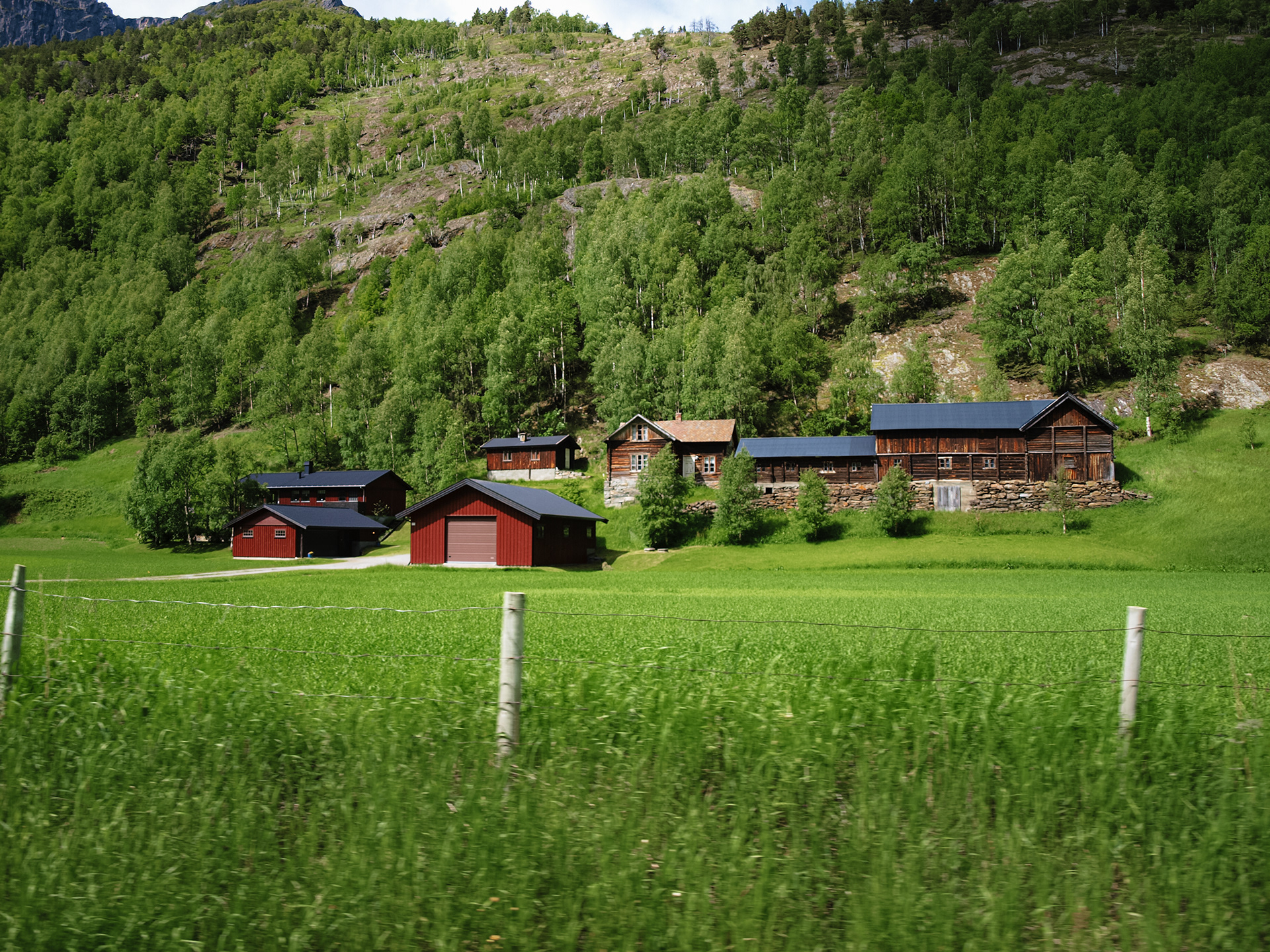 More farms on the road to Spiterstulen