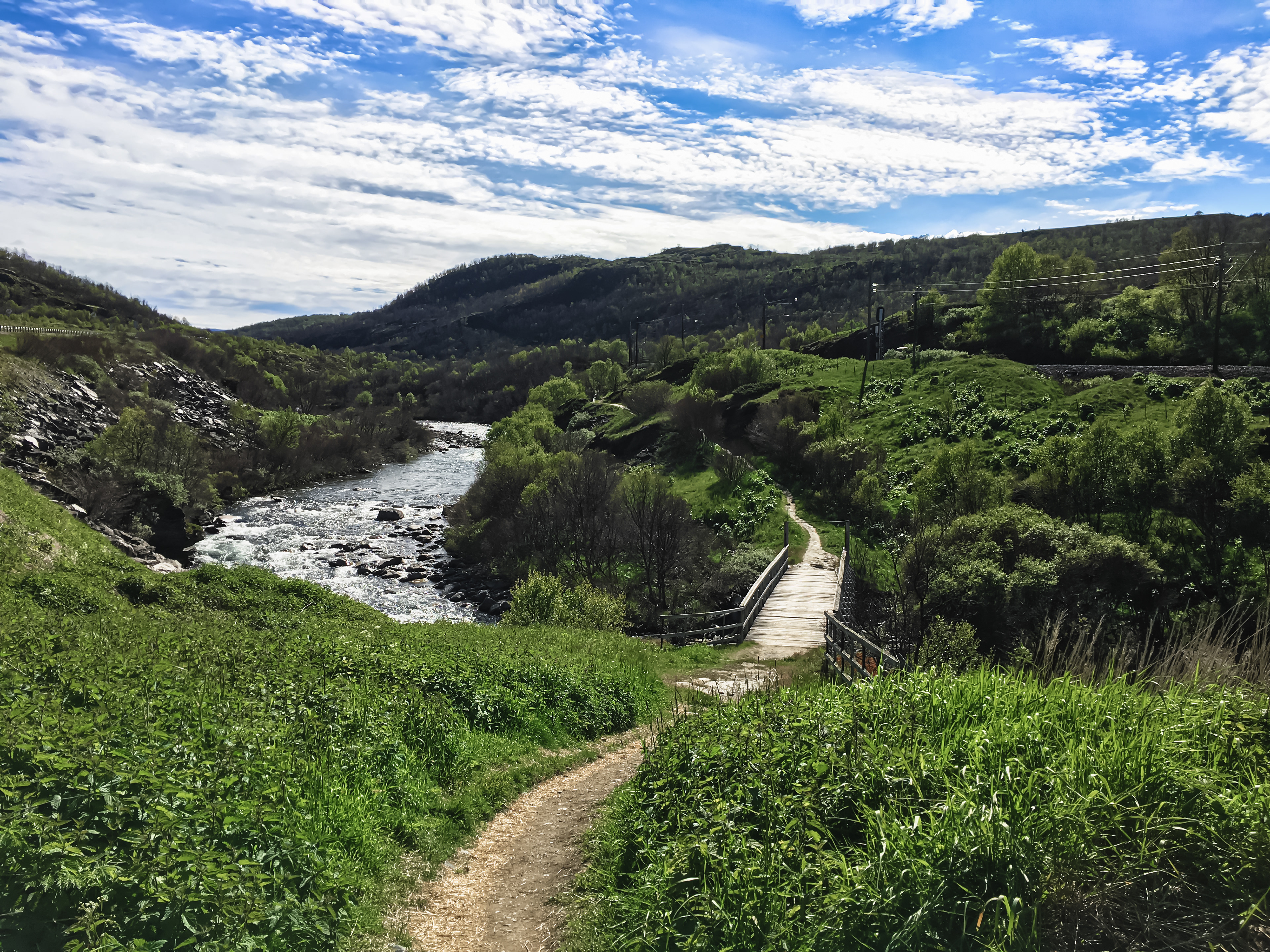 A well-worn trail meanders through the verdant landscape of Dovrefjell-Sunndalsfjella Nasjonalpark