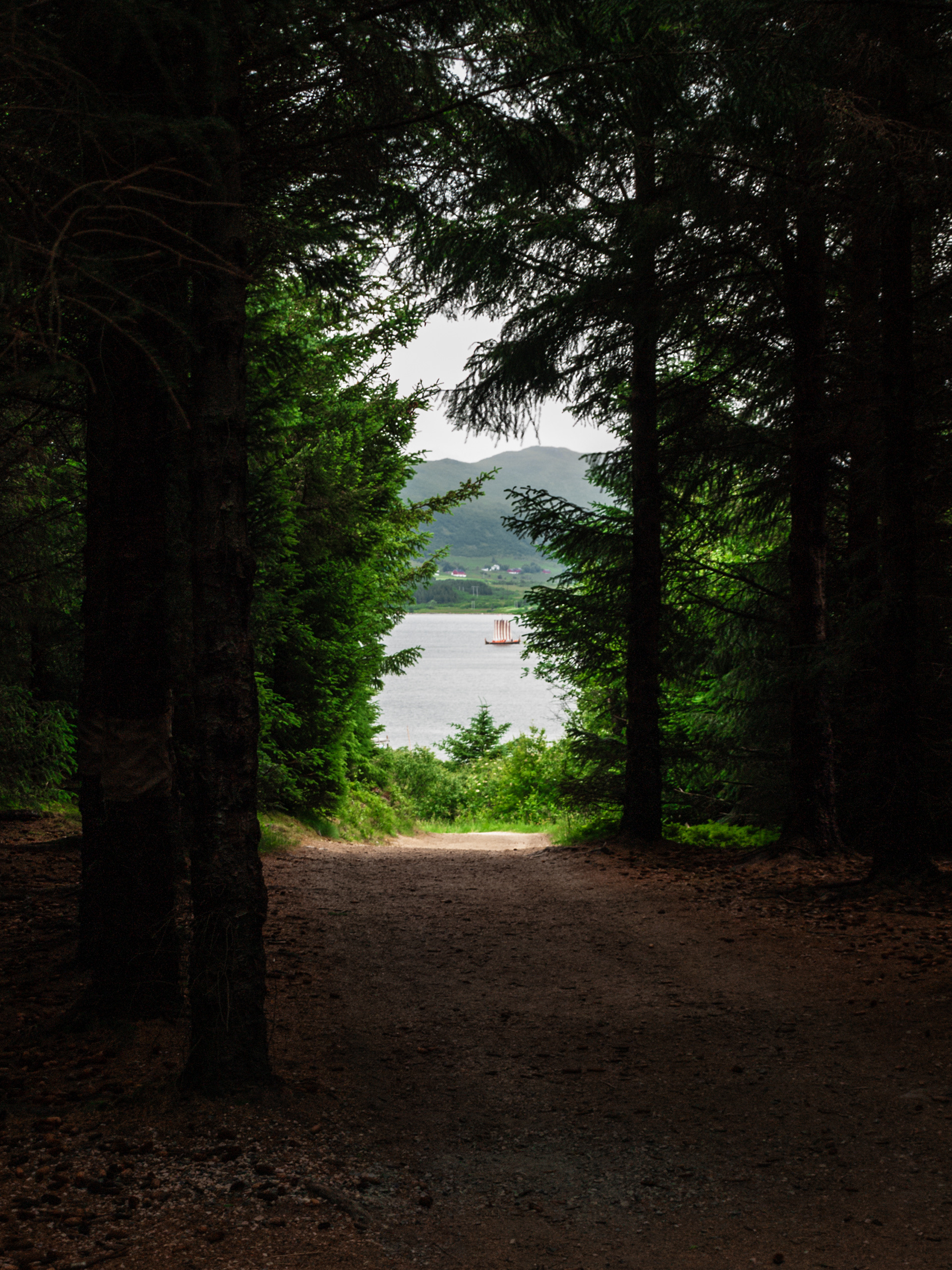 A viking longship is visible in the distance through a break in the trees