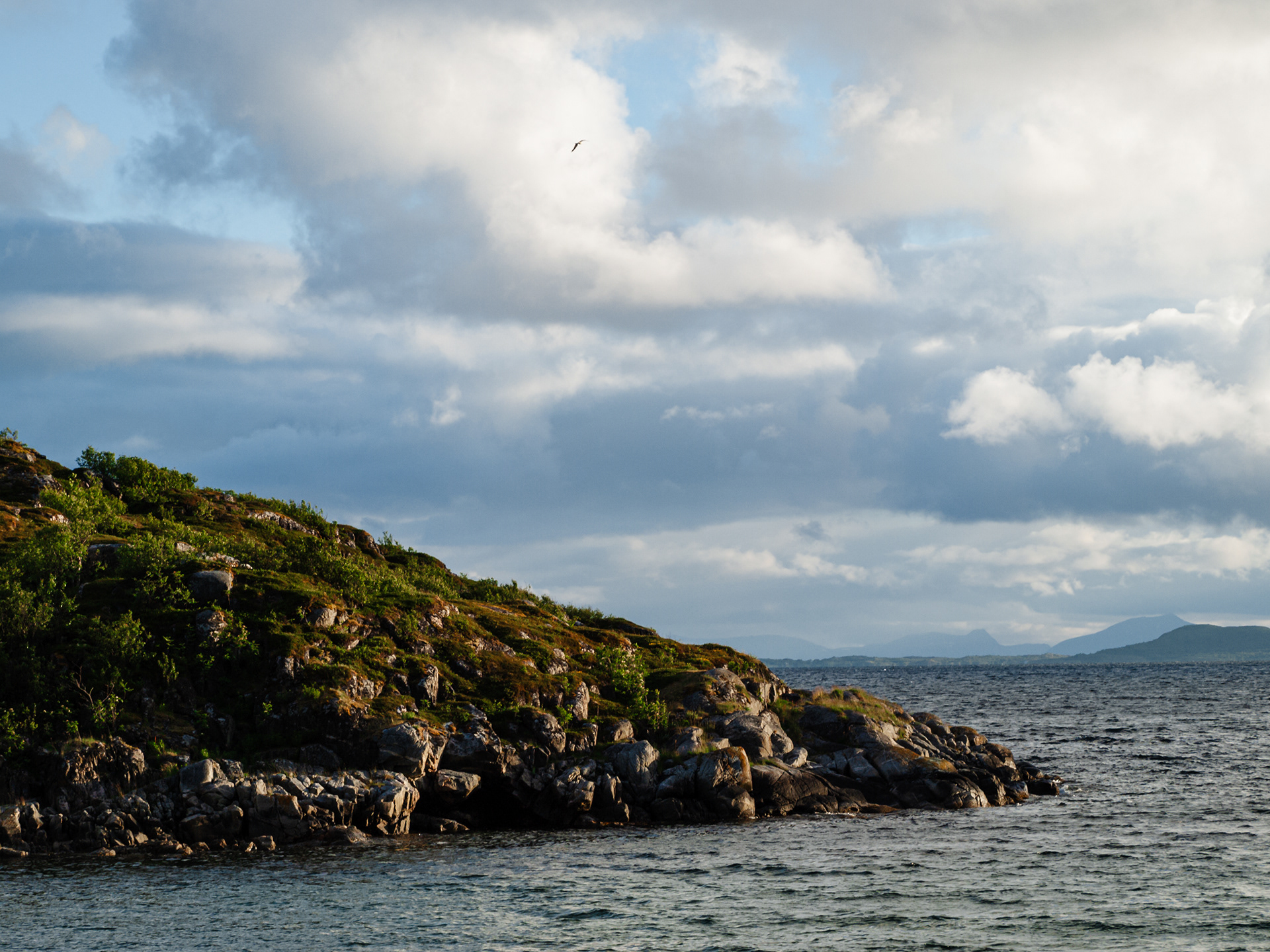 A gull flies low over the rocky coast of Skrolsvik