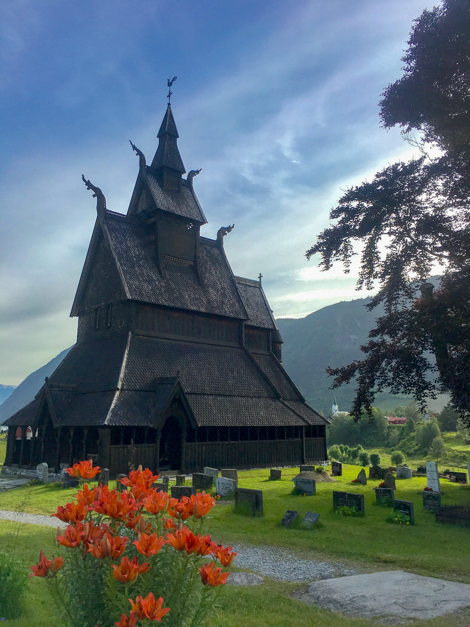 Bright orange flowers bloom in front of a stave church near Bergen