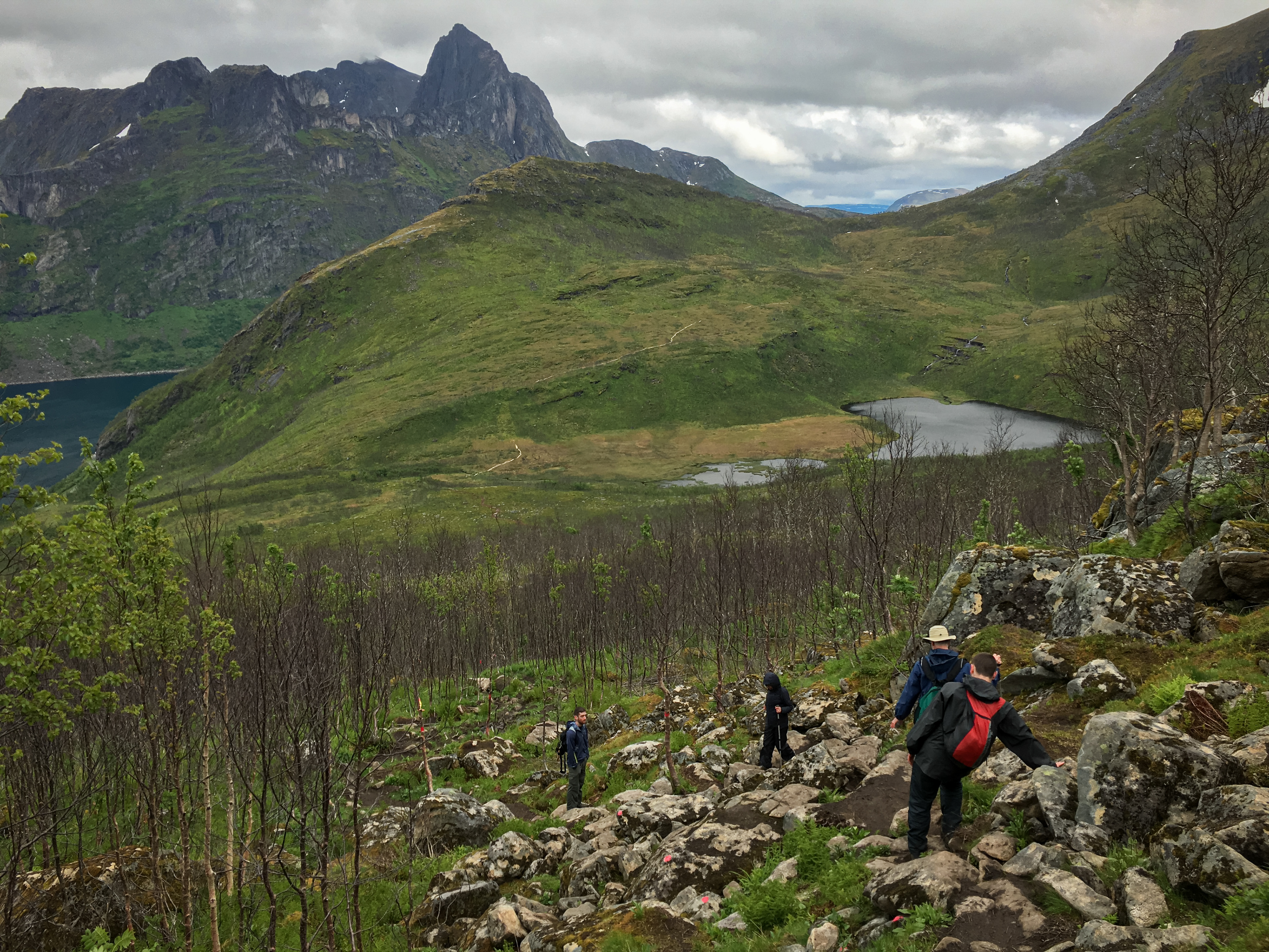 Rob, Paula, Bob, and Nick on the final stretch of a hike in Senja