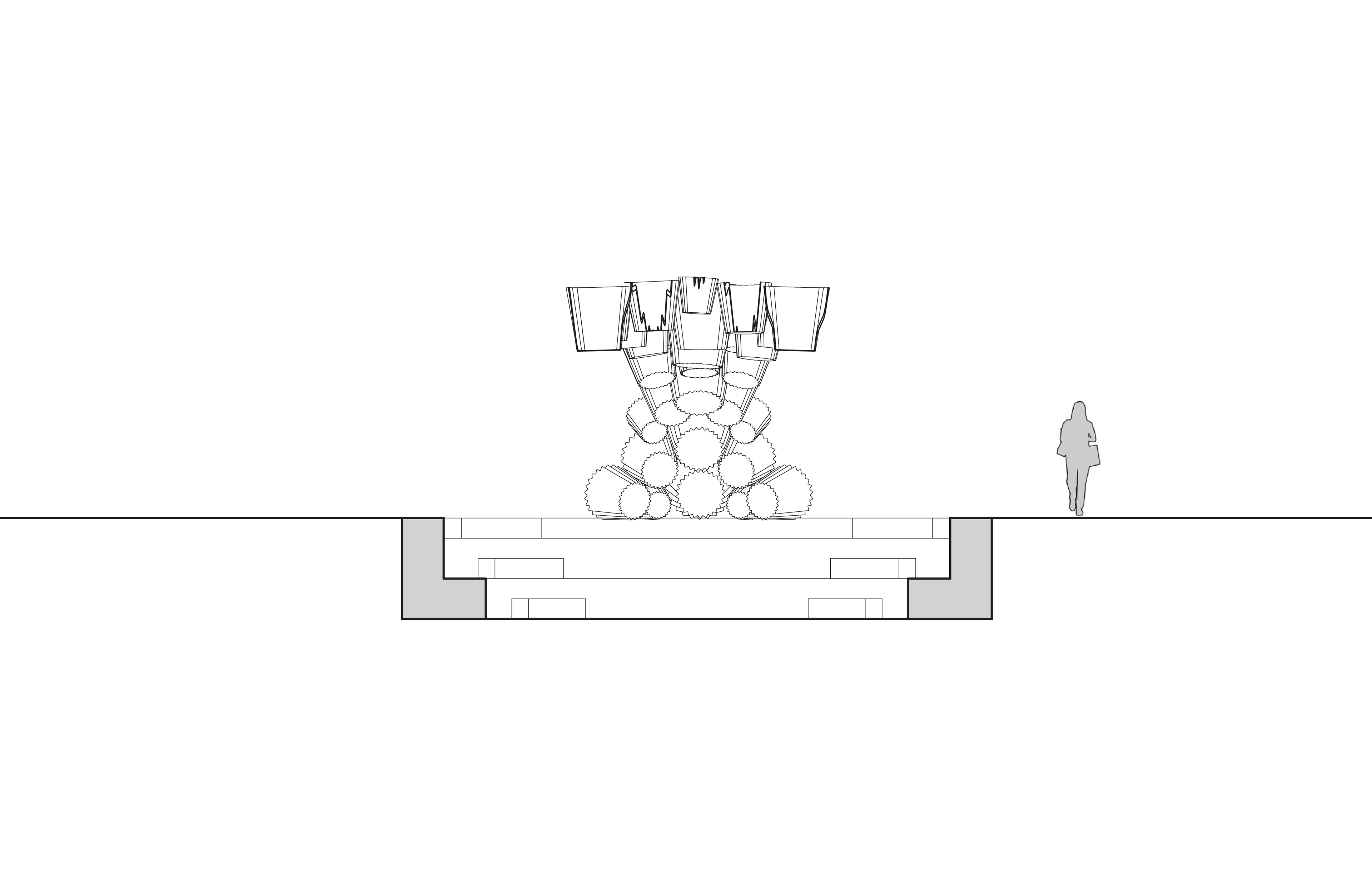 Section AA