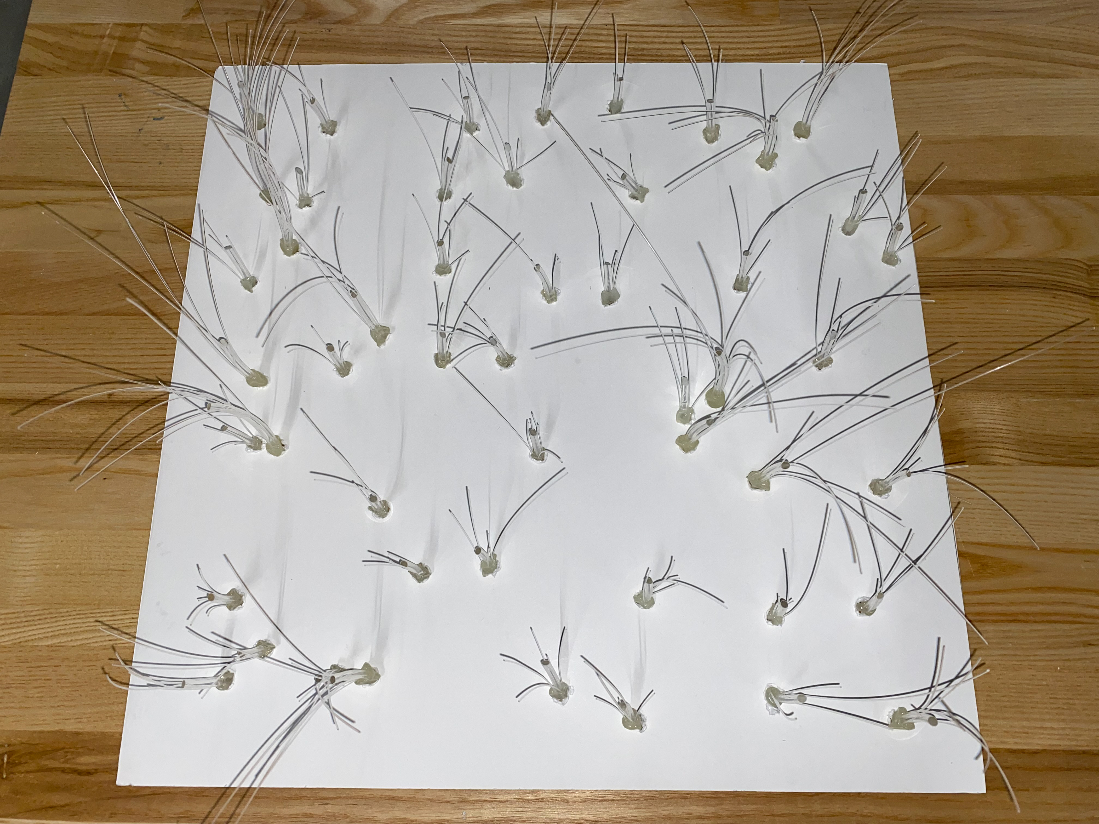 Finished mapping on foam board