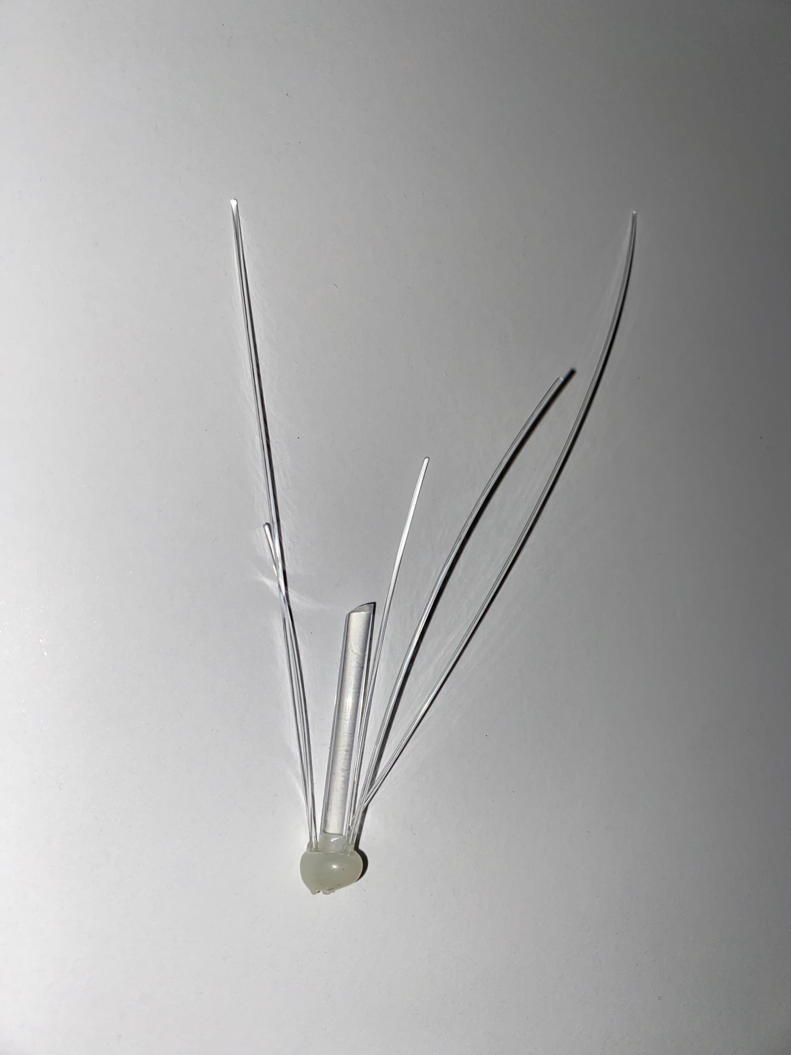 Hyphae design