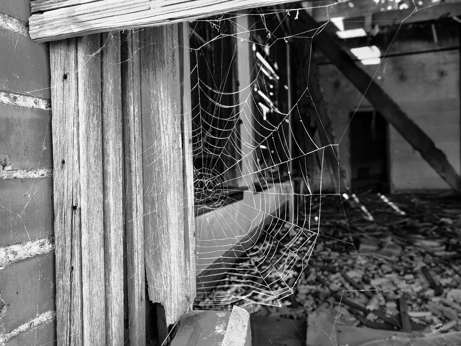 The Banking Floor (Cottonwood, SD)