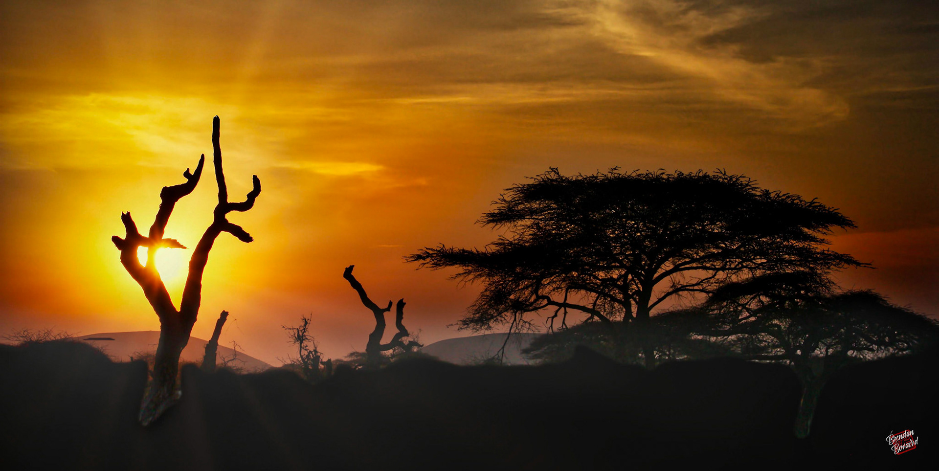 Sundown on the Serengeti