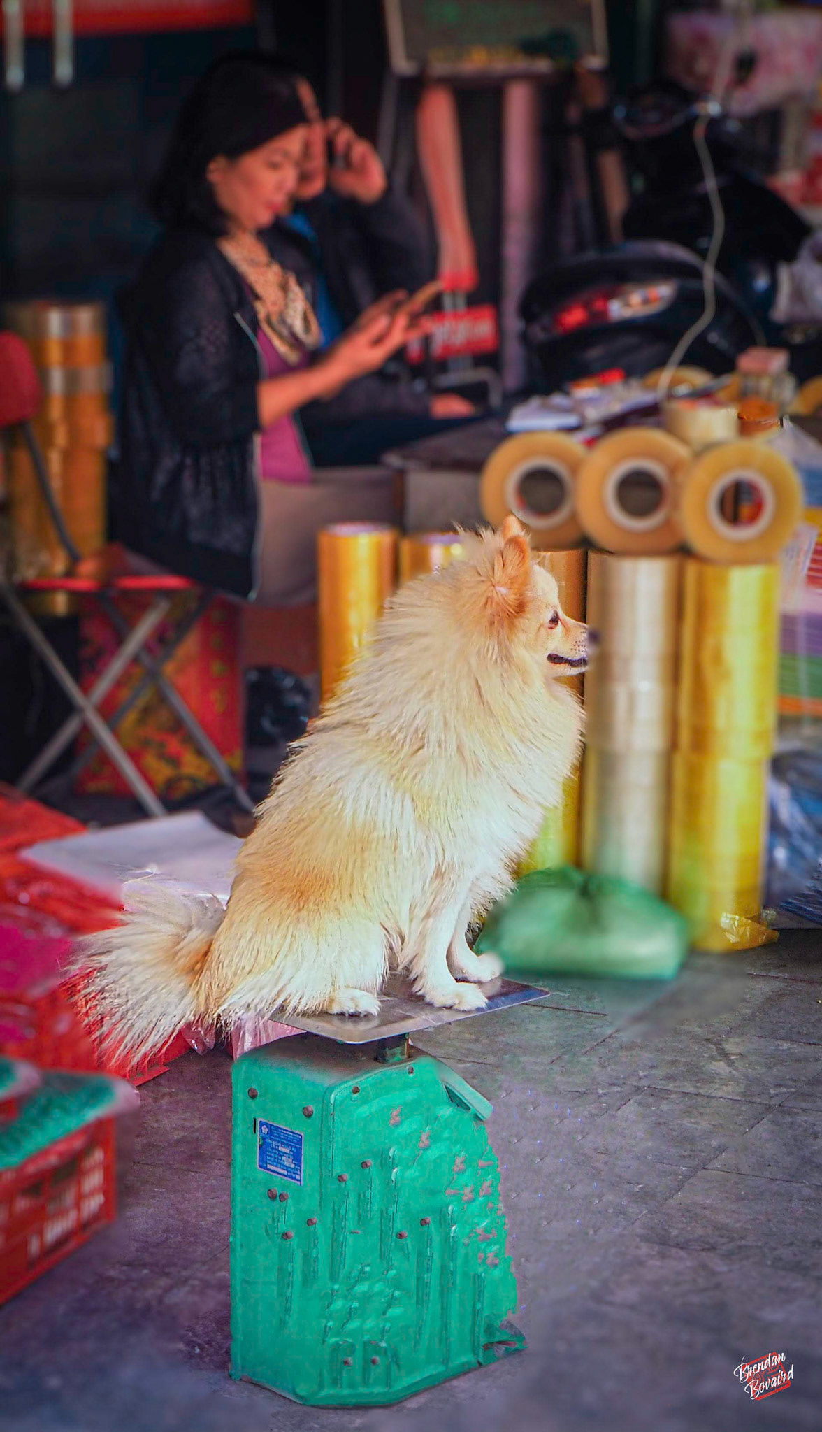 NOT What It Looks Like!