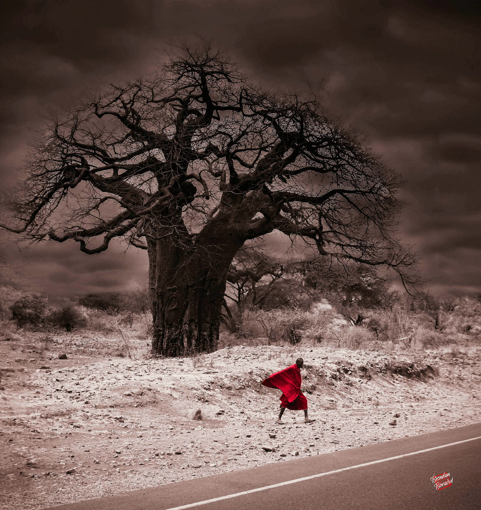 Seeking Shelter from the Storm (East Africa)