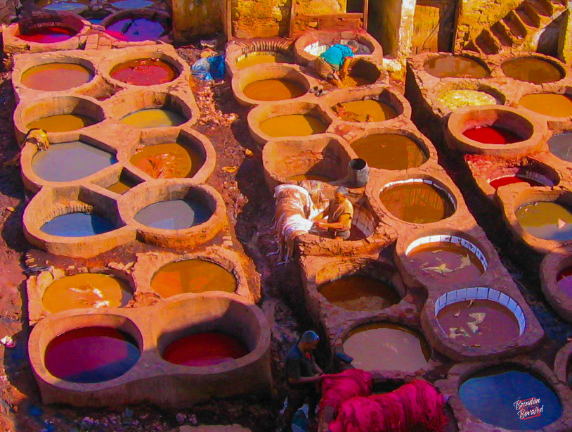 The Tannery