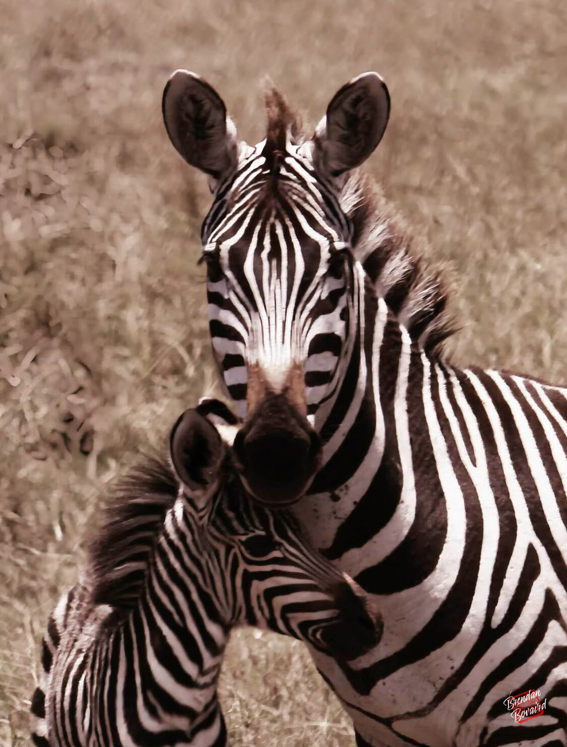 Helicopter Mom (East Africa)