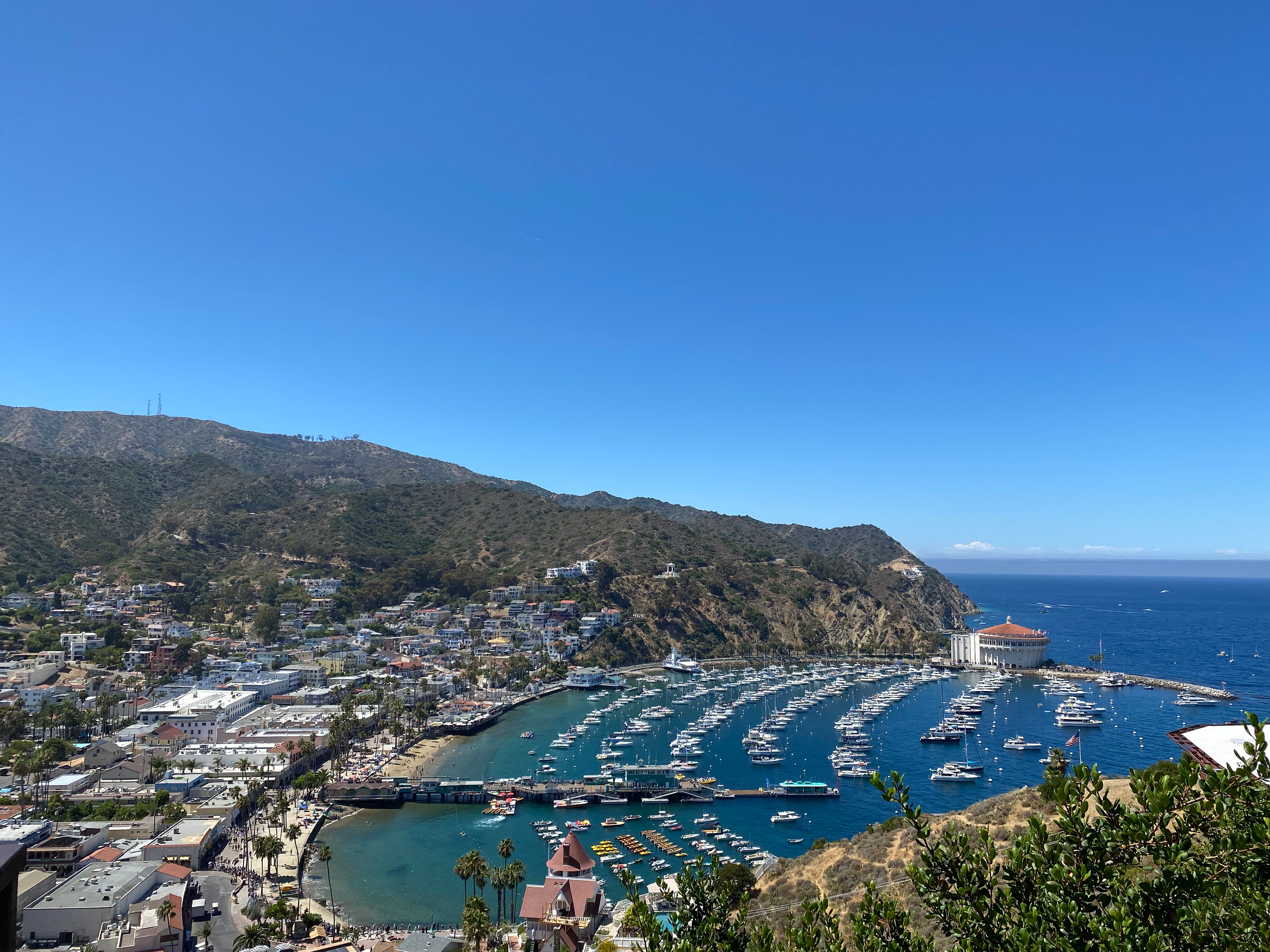Catalina Island