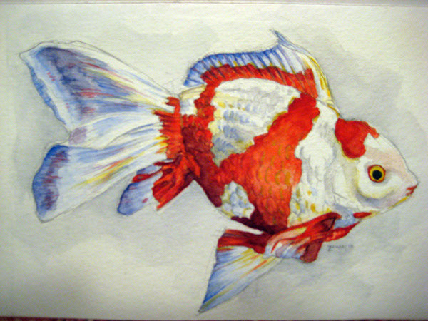 Watercolour of Goldfish