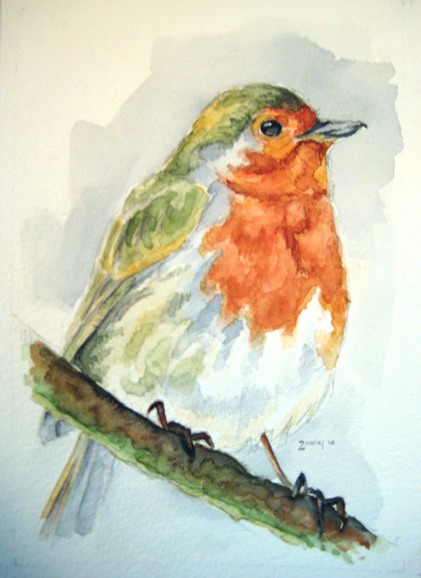 Watercolour of Bird