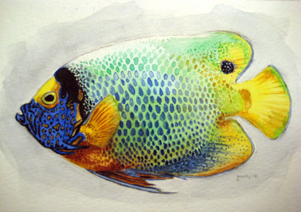 Watercolour of Tropical Fish