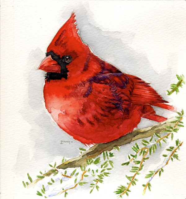 Watercolour of Bird
