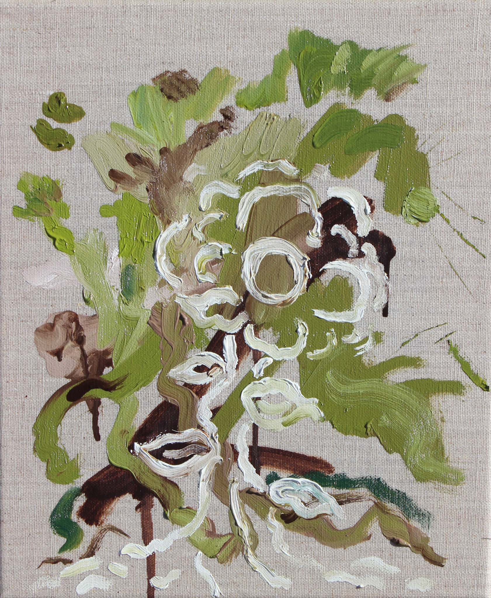 Flowers in the lawn